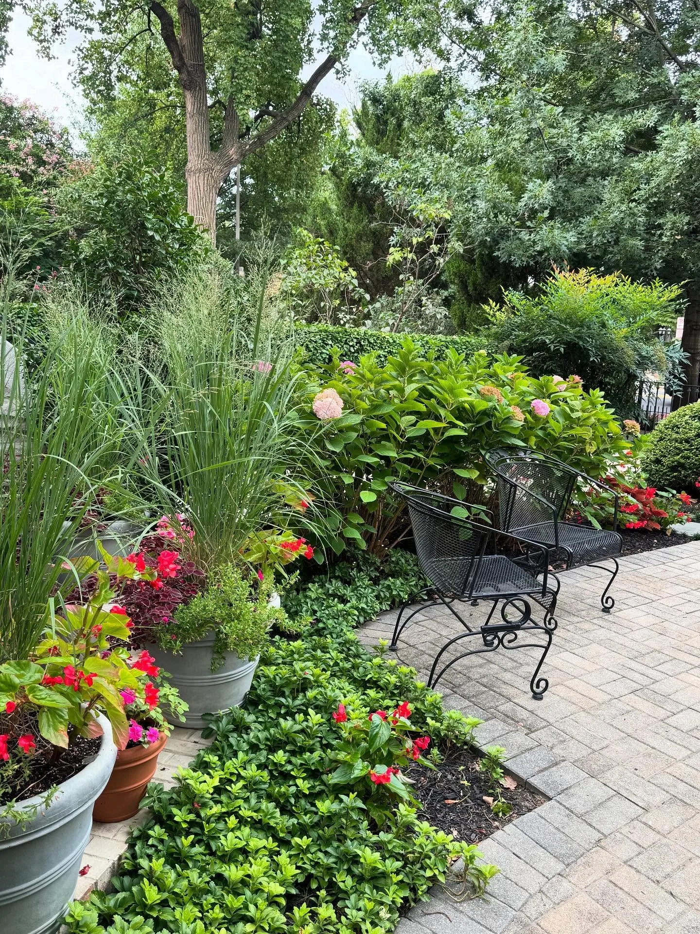 #pablolandscapeservices🍃✉️ #washington_dc #gardens #logancircle #dupontcircle #landscape_lovers