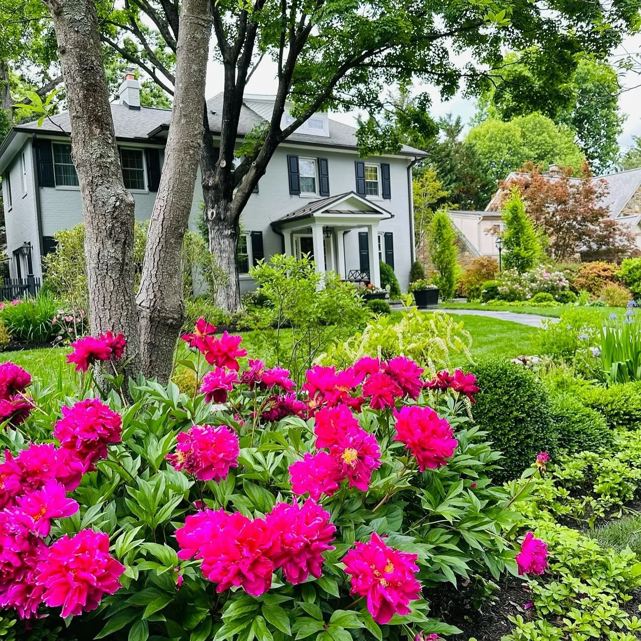 #goodbysummer #winterishere #fallishere🍁 #letsdothis #pablolandscapeservices🍃✉️ #chevychasemd #washingtondc