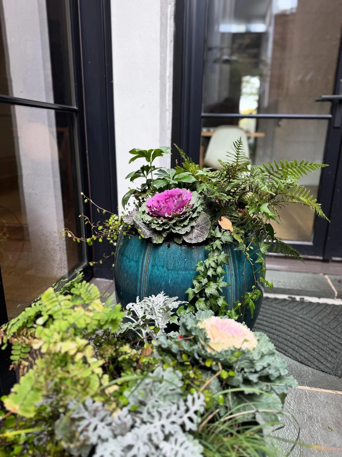 #wintermood #pablolandscapeservices🍃✉️ #winteroutfitideas