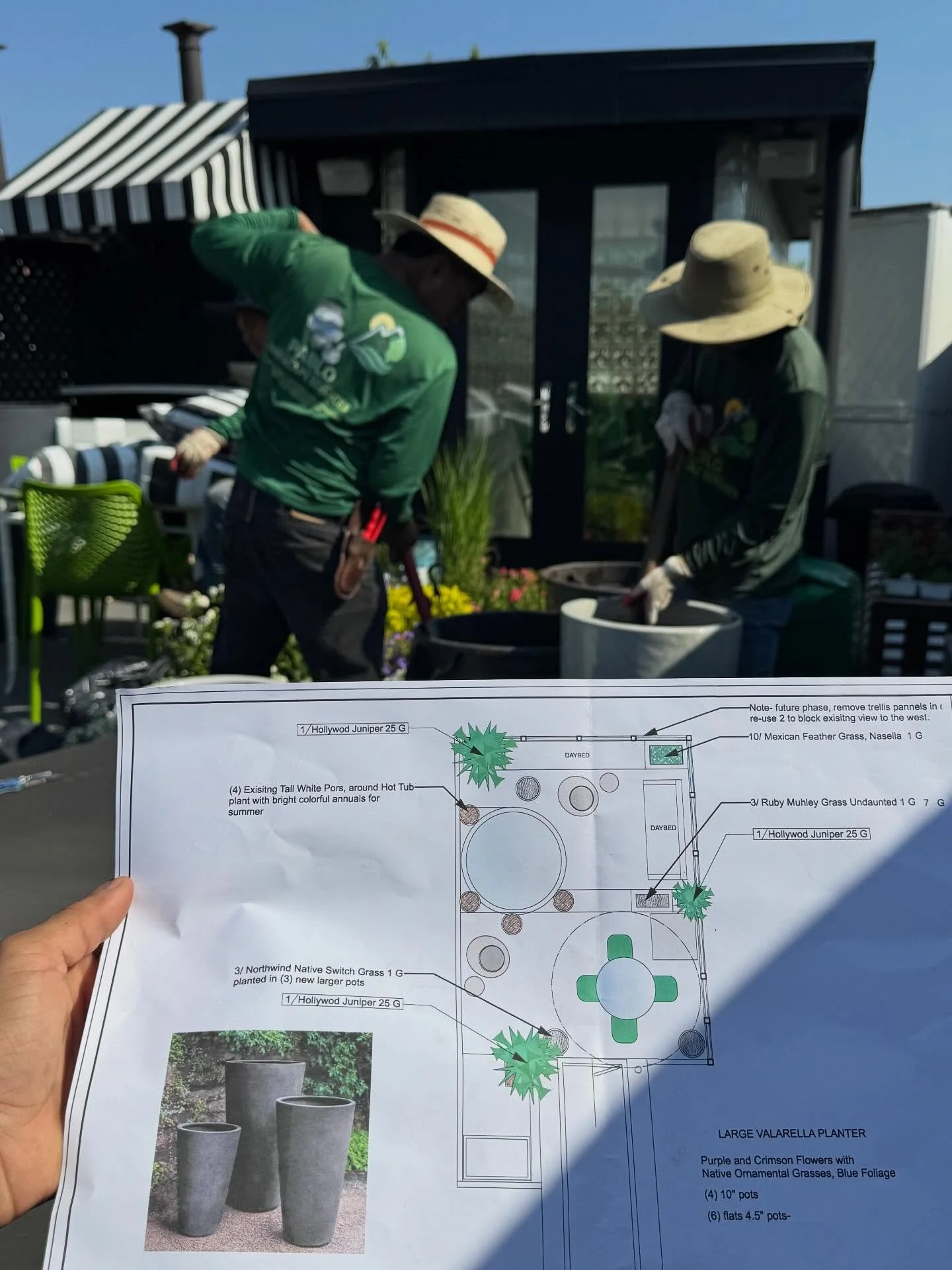 #lastsummerdays #pablolandscapeservices🍃✉️ #welcometo2026💐 

#fypシviralシ2025