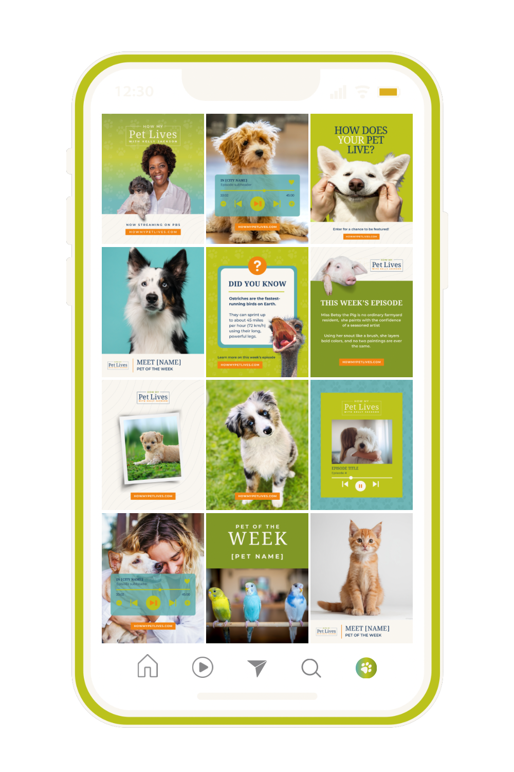 Instagram feed design and content system for television show How My Pet Lives social media presence