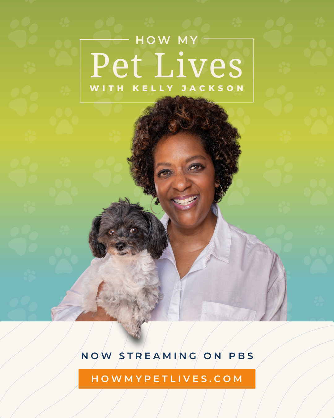 Pitch deck design by ROLA Mediaworks for How My Pet Lives with Kelly Jackson colorful branded layout and cover design