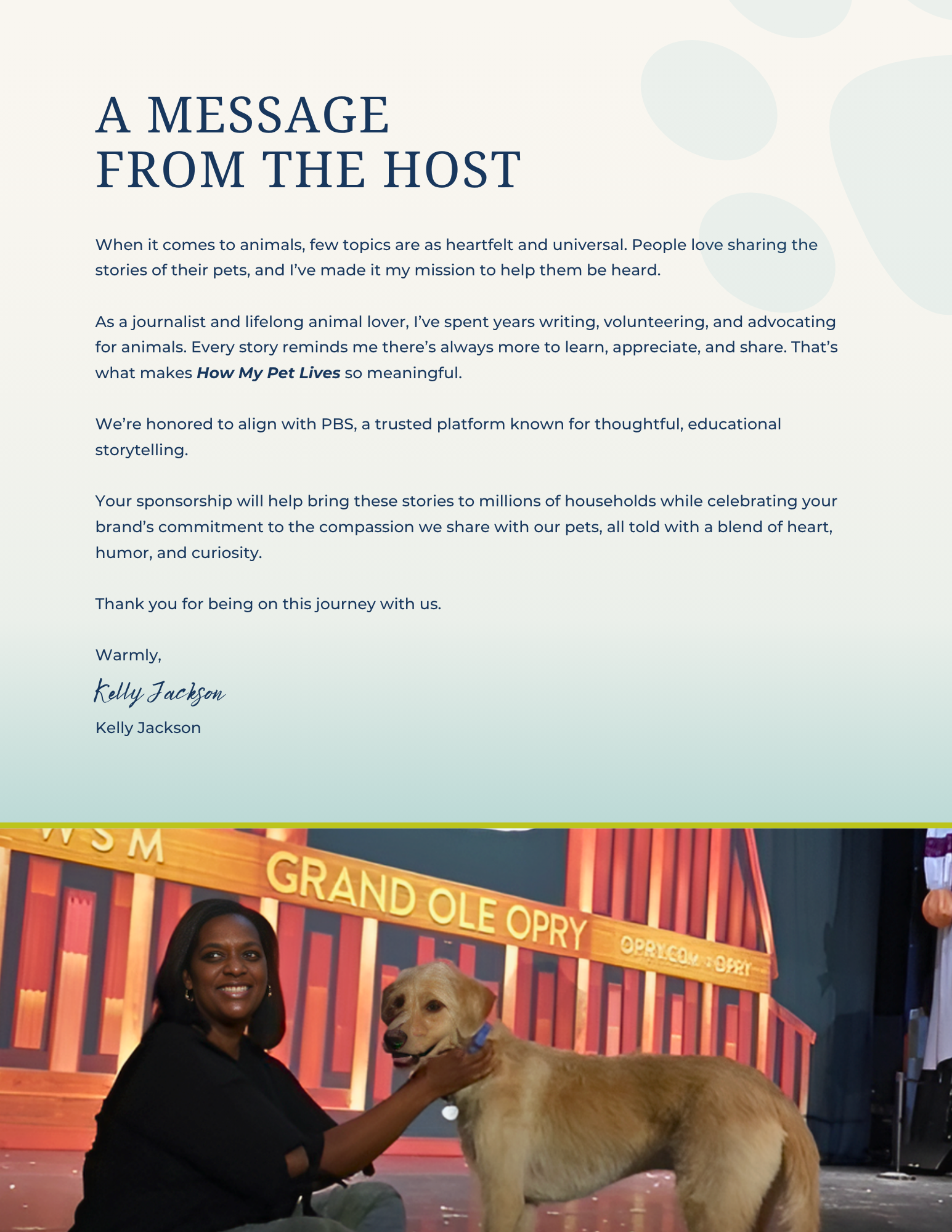 sponsorship deck design for TV show How My Pet Lives audience and brand positioning