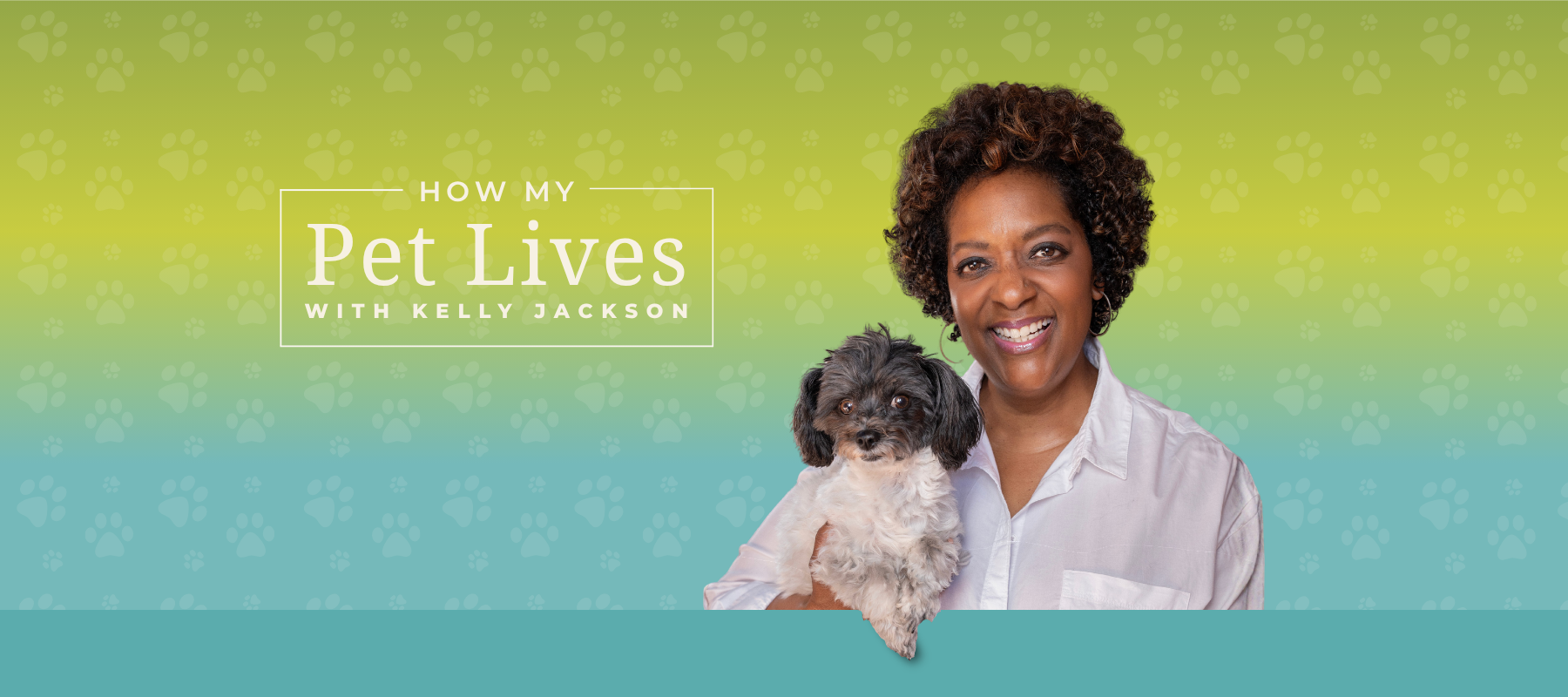 brand identity and visual design for PBS show How My Pet Lives with Kelly Jackson