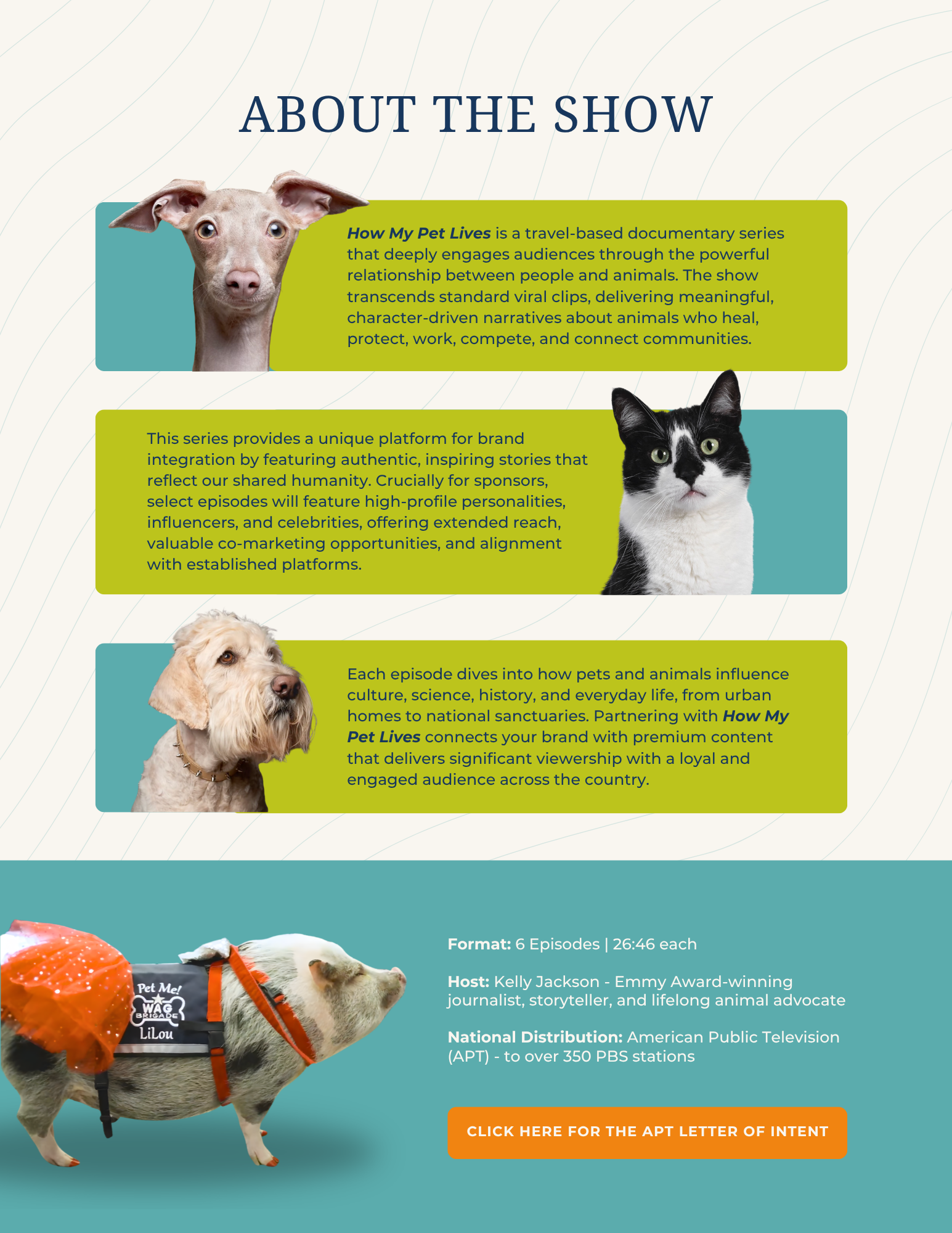 media pitch deck slide design for lifestyle television show concept presentation