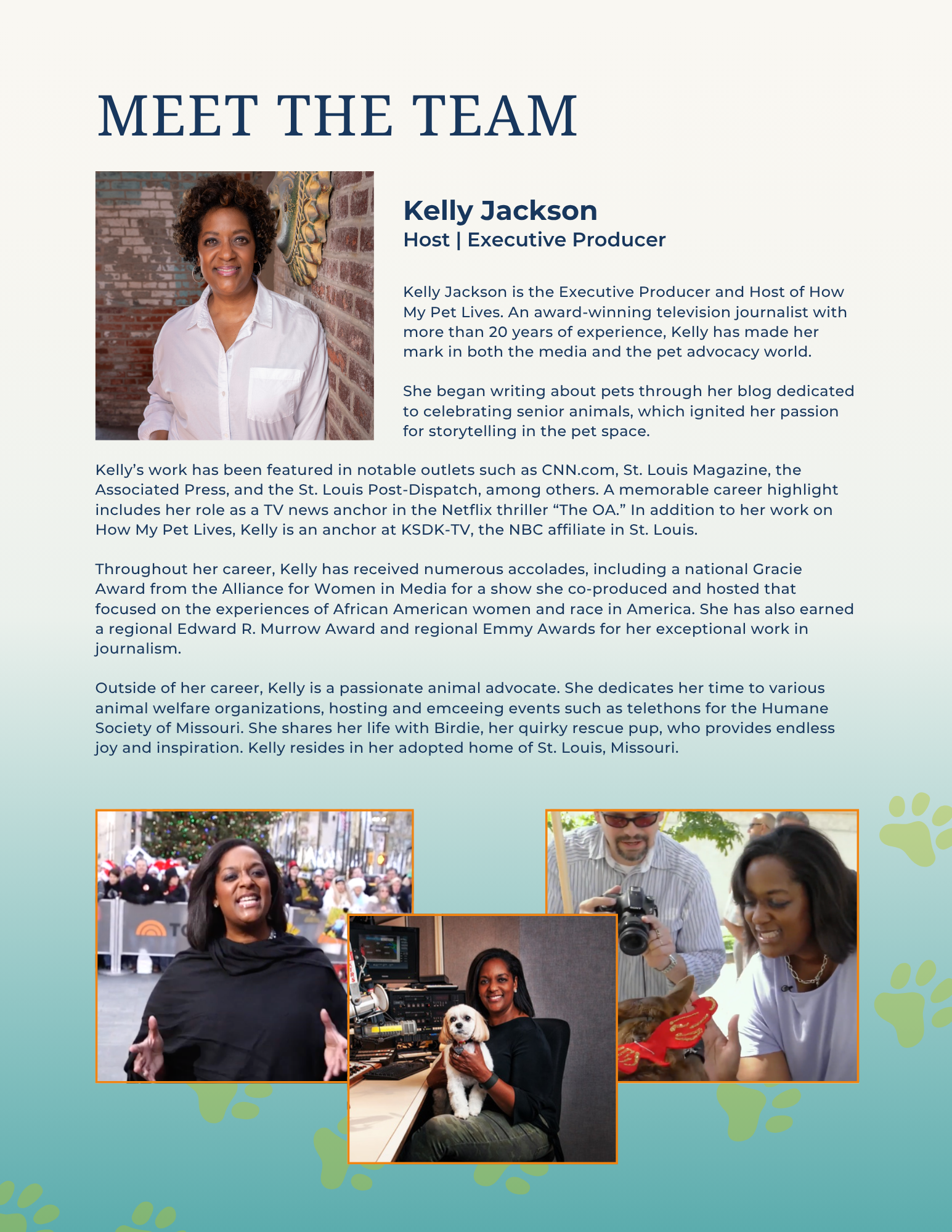 media deck design for TV show host branding and on screen personality positioning