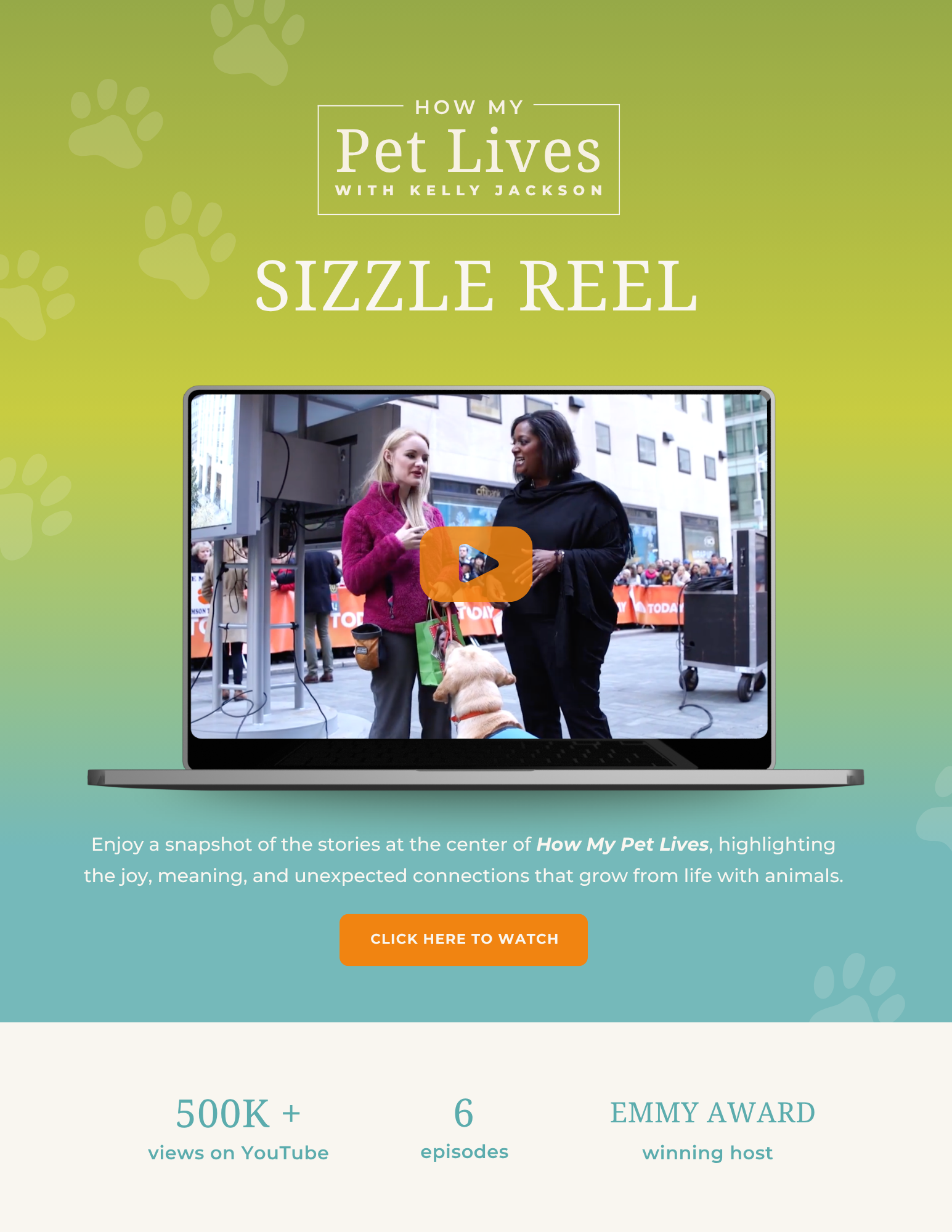 show concept slide design for How My Pet Lives visual identity and messaging