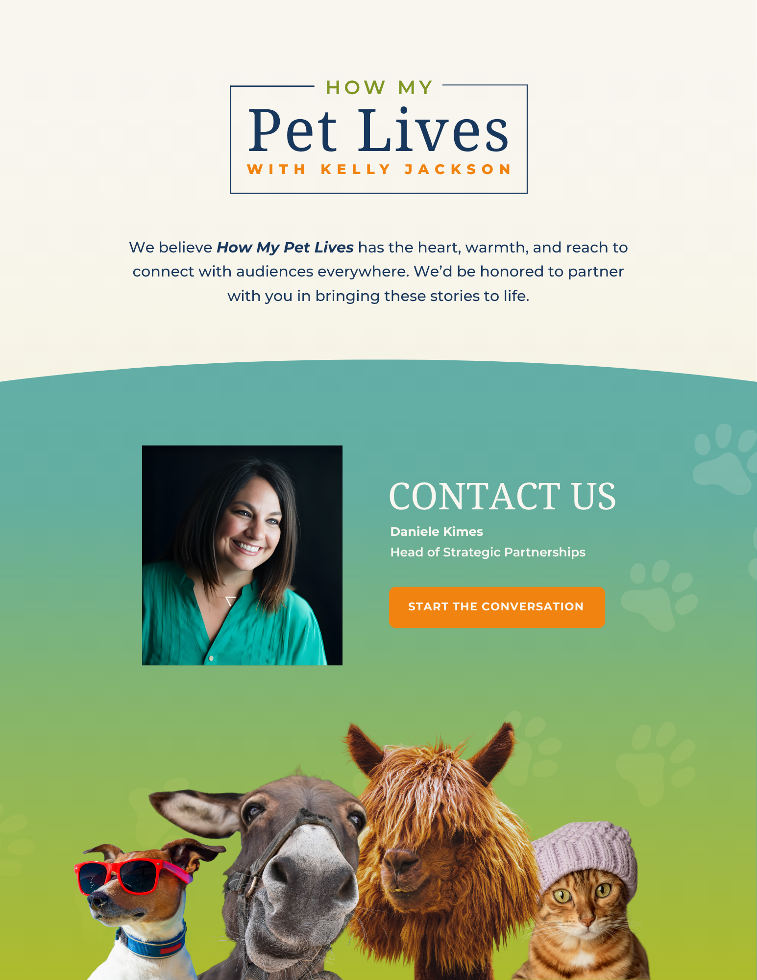 pitch deck design for creative brand storytelling and television show concept