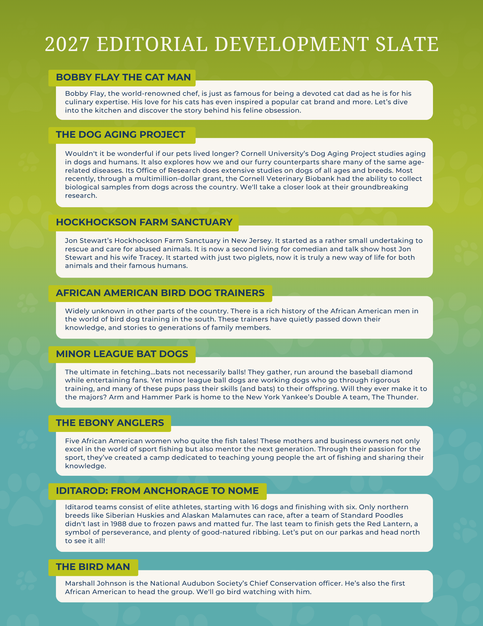 media presentation design for television show development and funding pitch