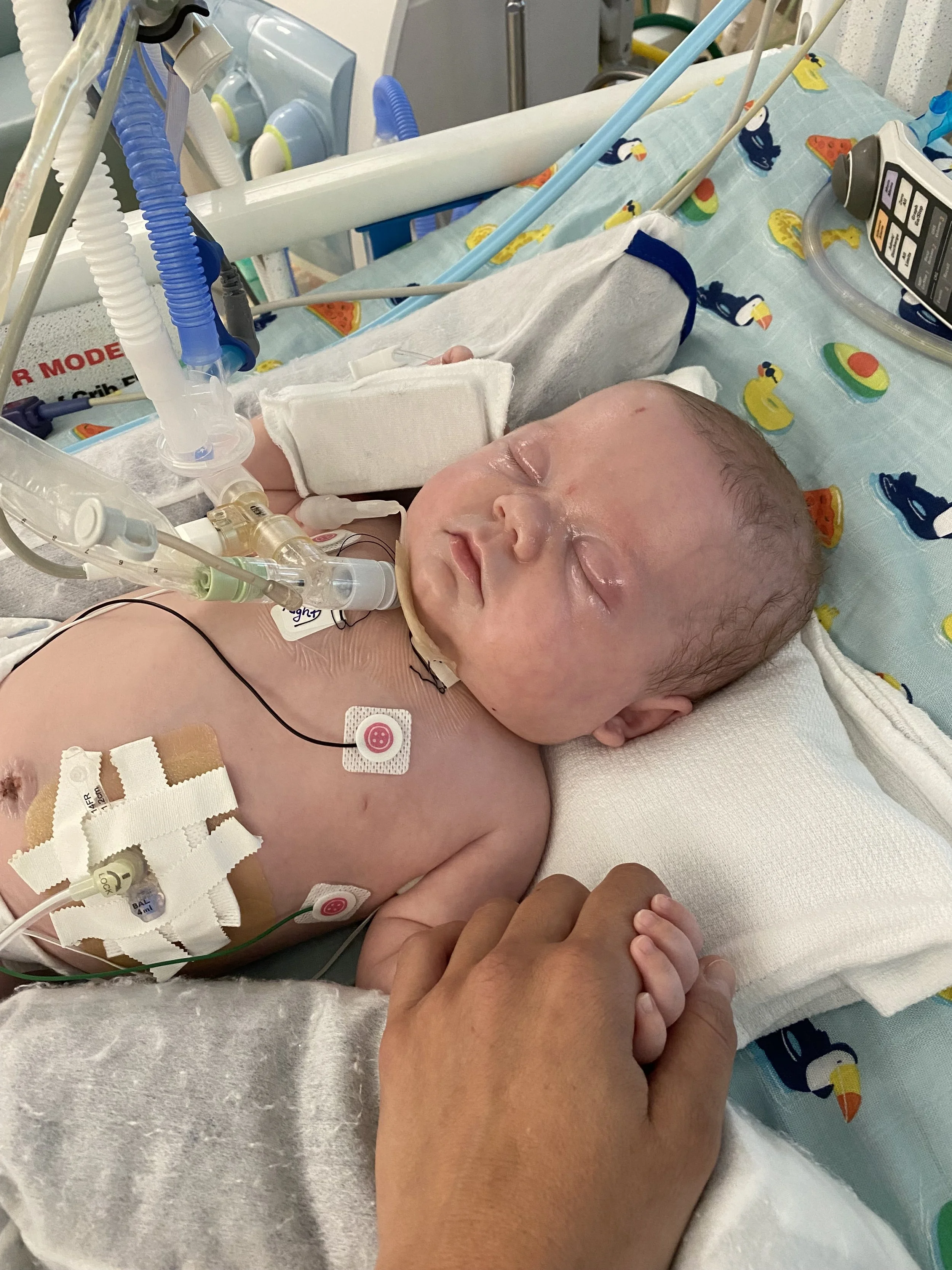 30 Days of Brave | Ford