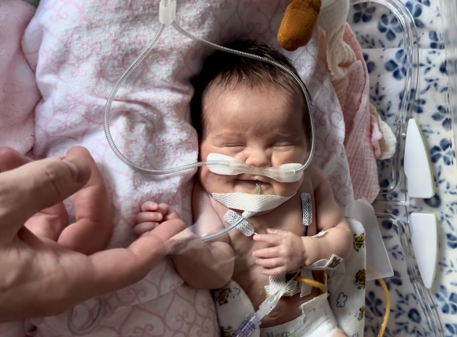 Ada’s Long Journey Home