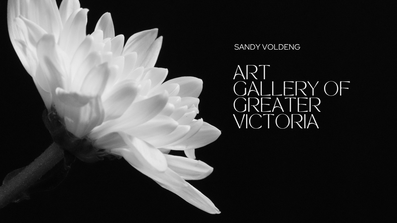 Art Gallery Victoria