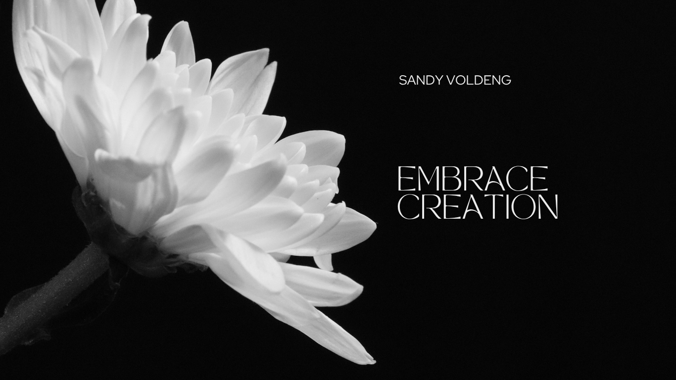 Embrace Creation