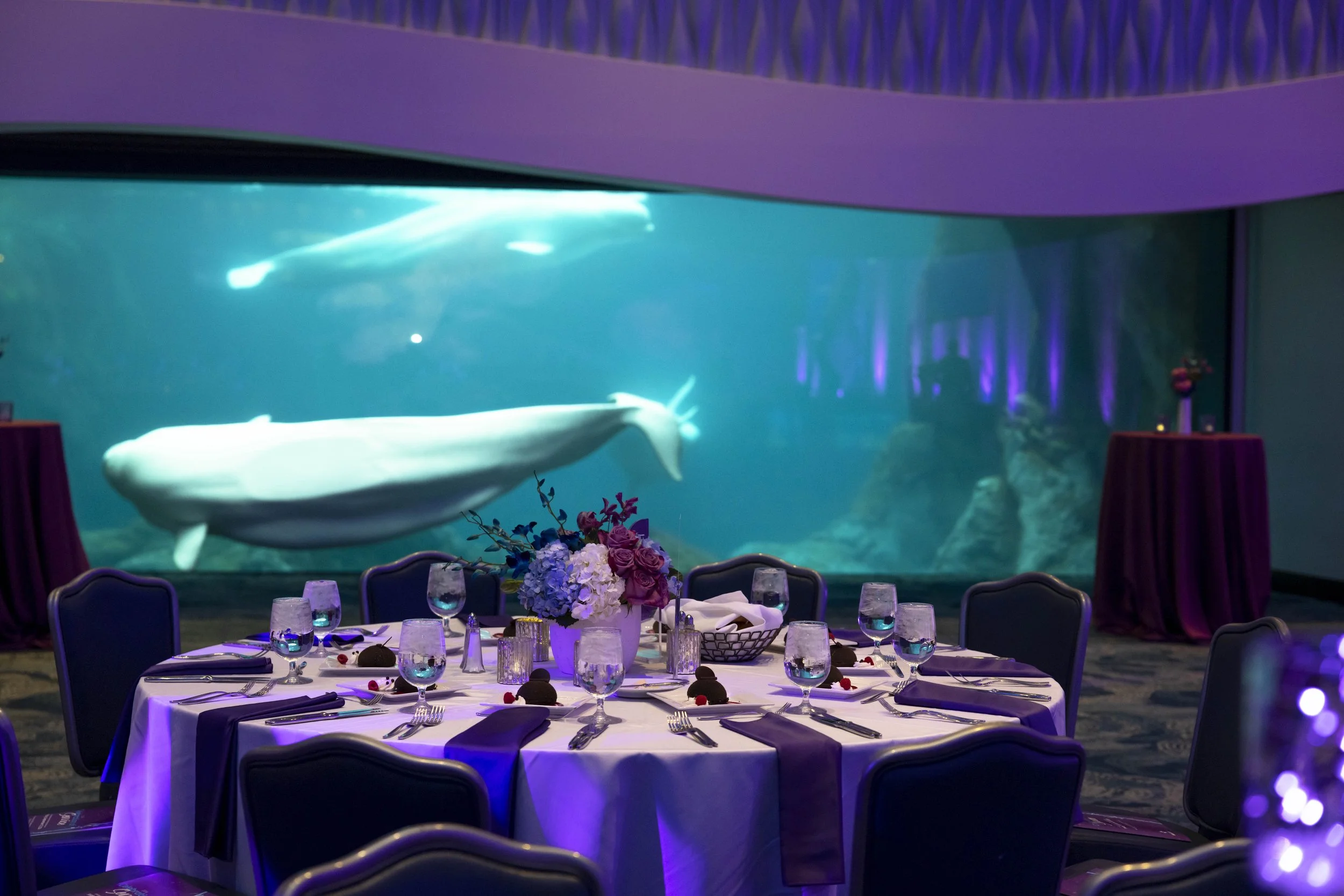 Corporate Event (2).jpg