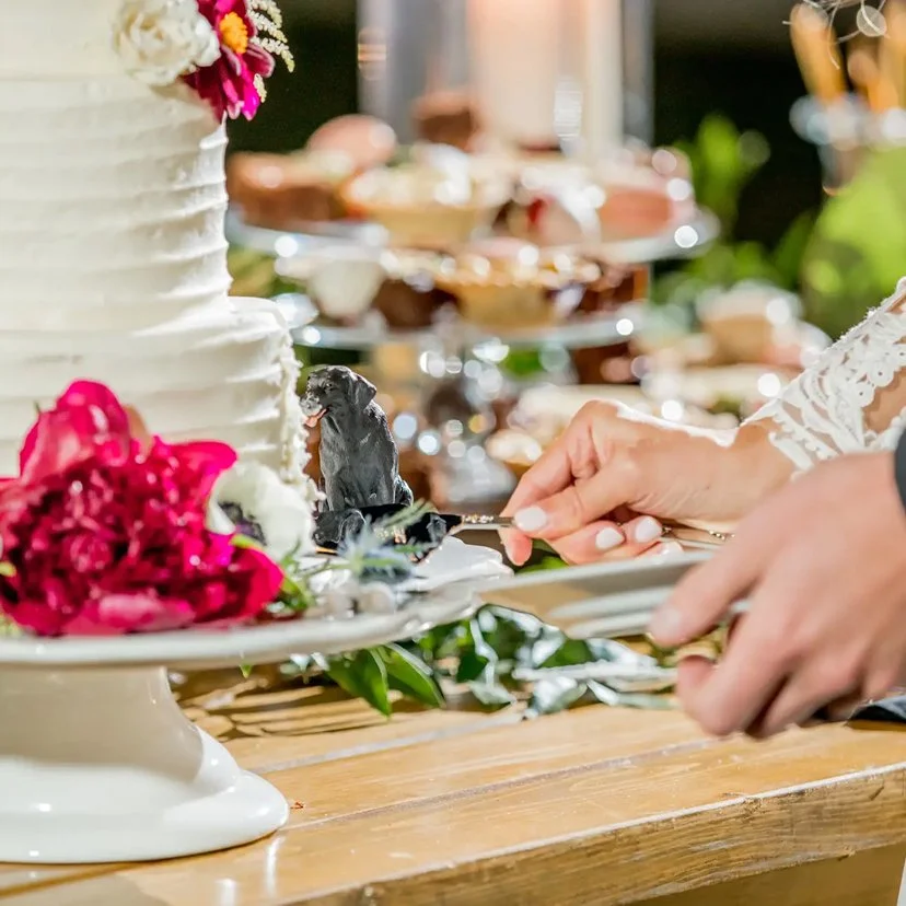 A bridge cutting their wedding cake by Defining Moments Special Events