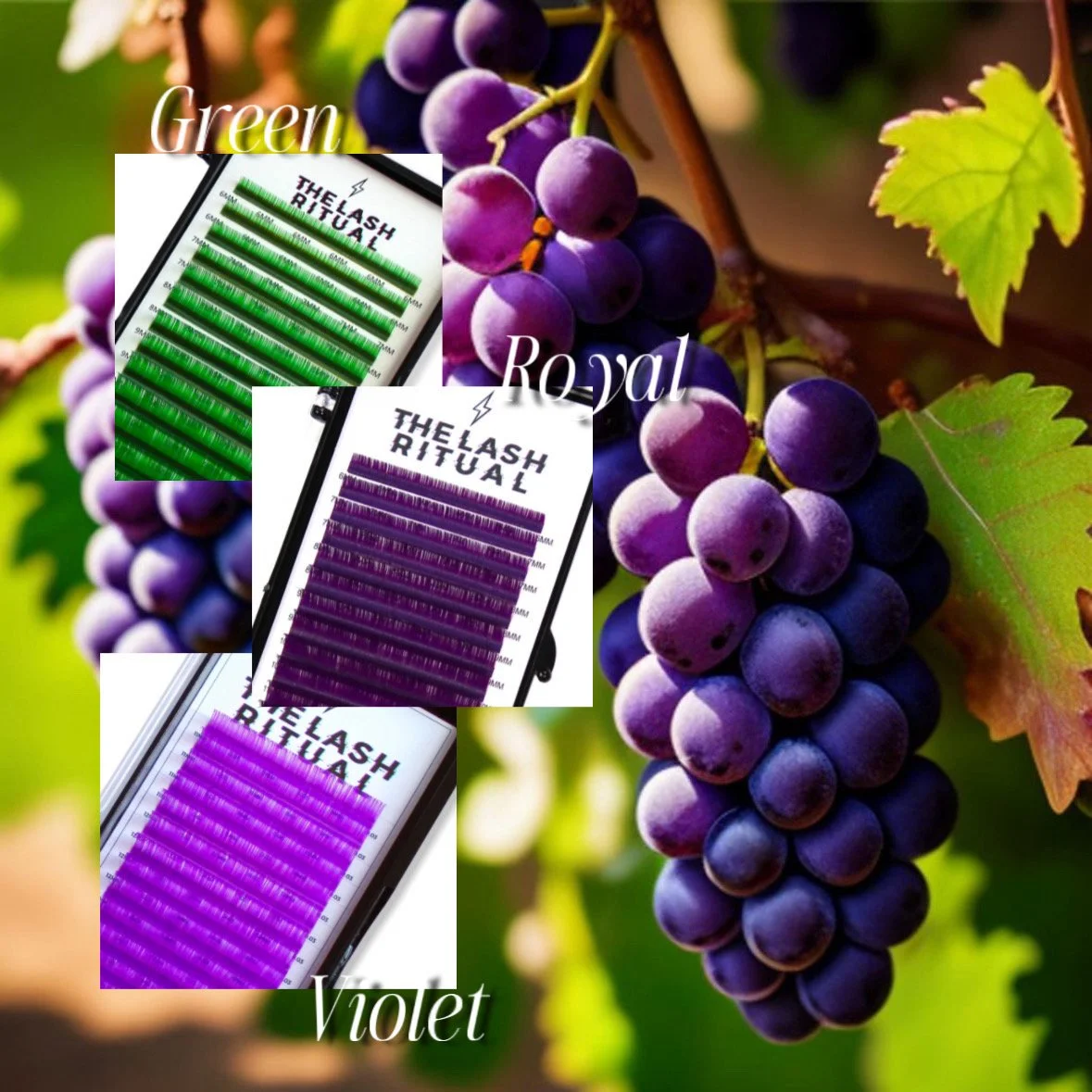 24A4F8A6-F5D9-4DA4-A008-509E8C6C342C 2.JPEG