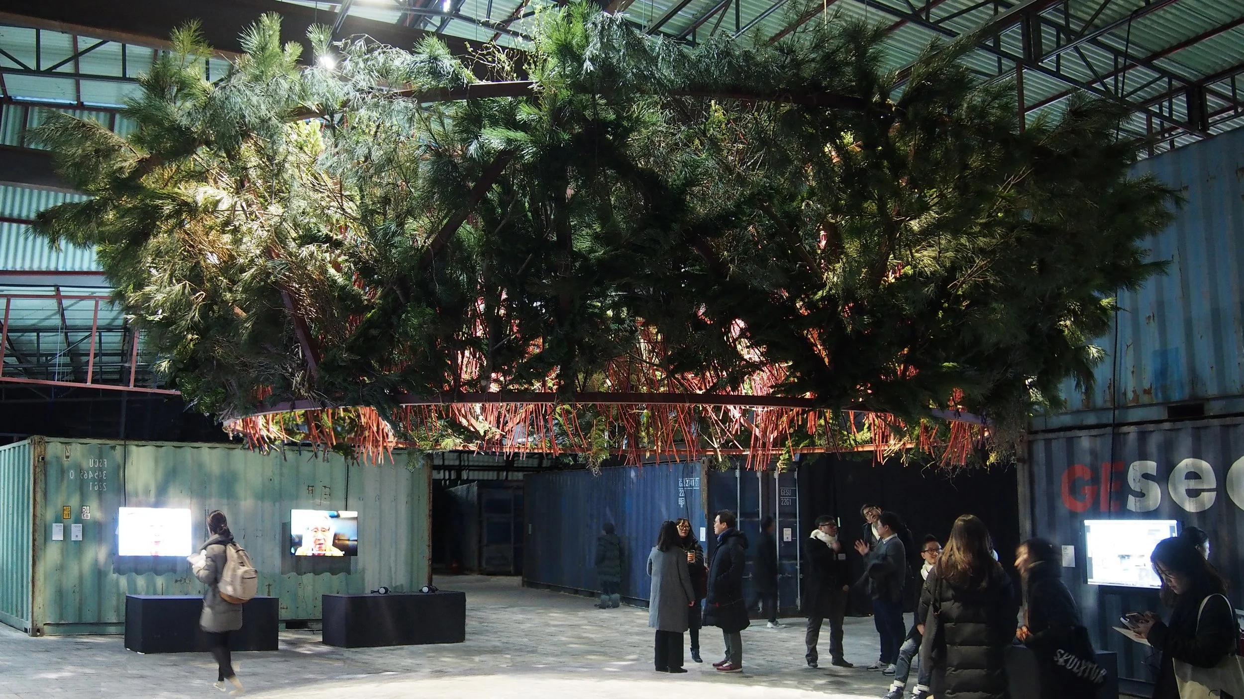 The Circle: A Meditation on Nature