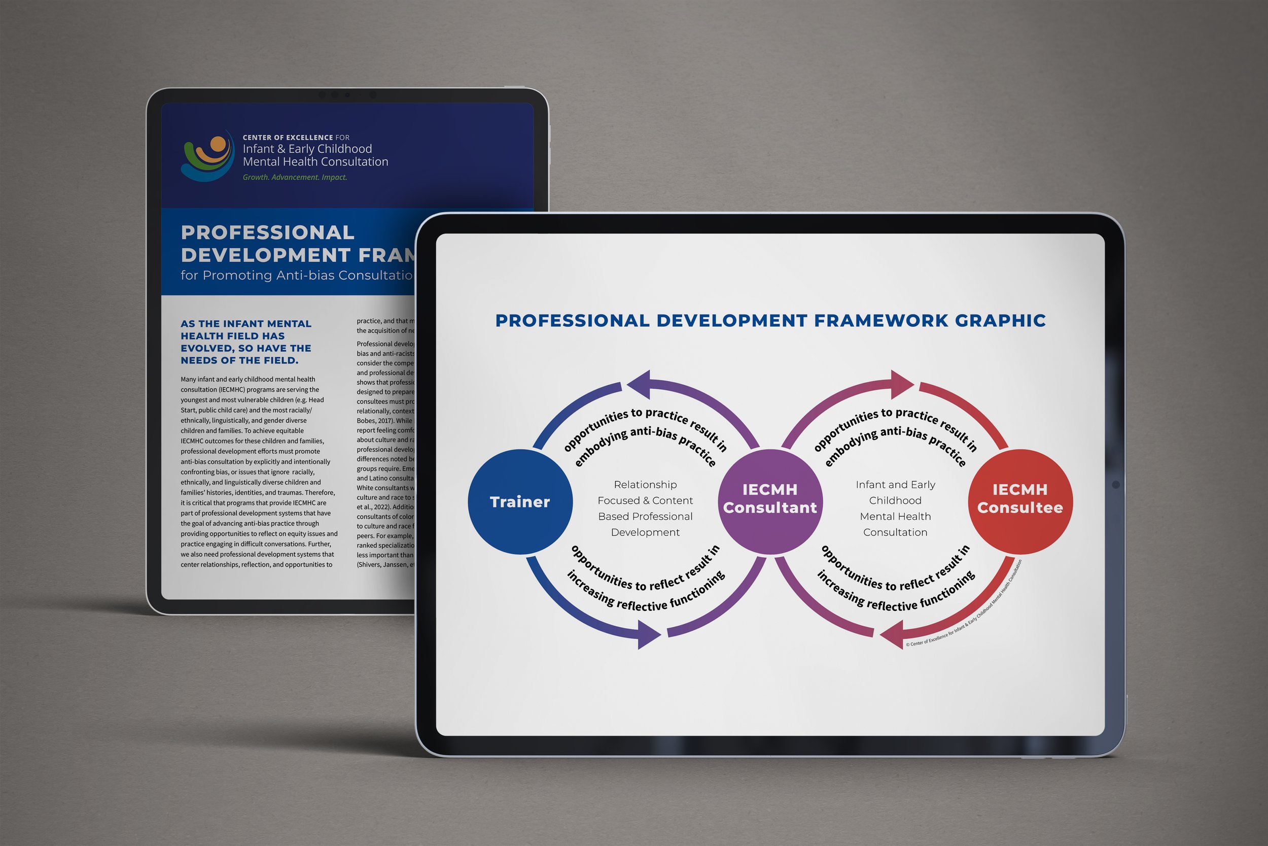 Scene 2_CoE Professional Development Framework_R2.jpg