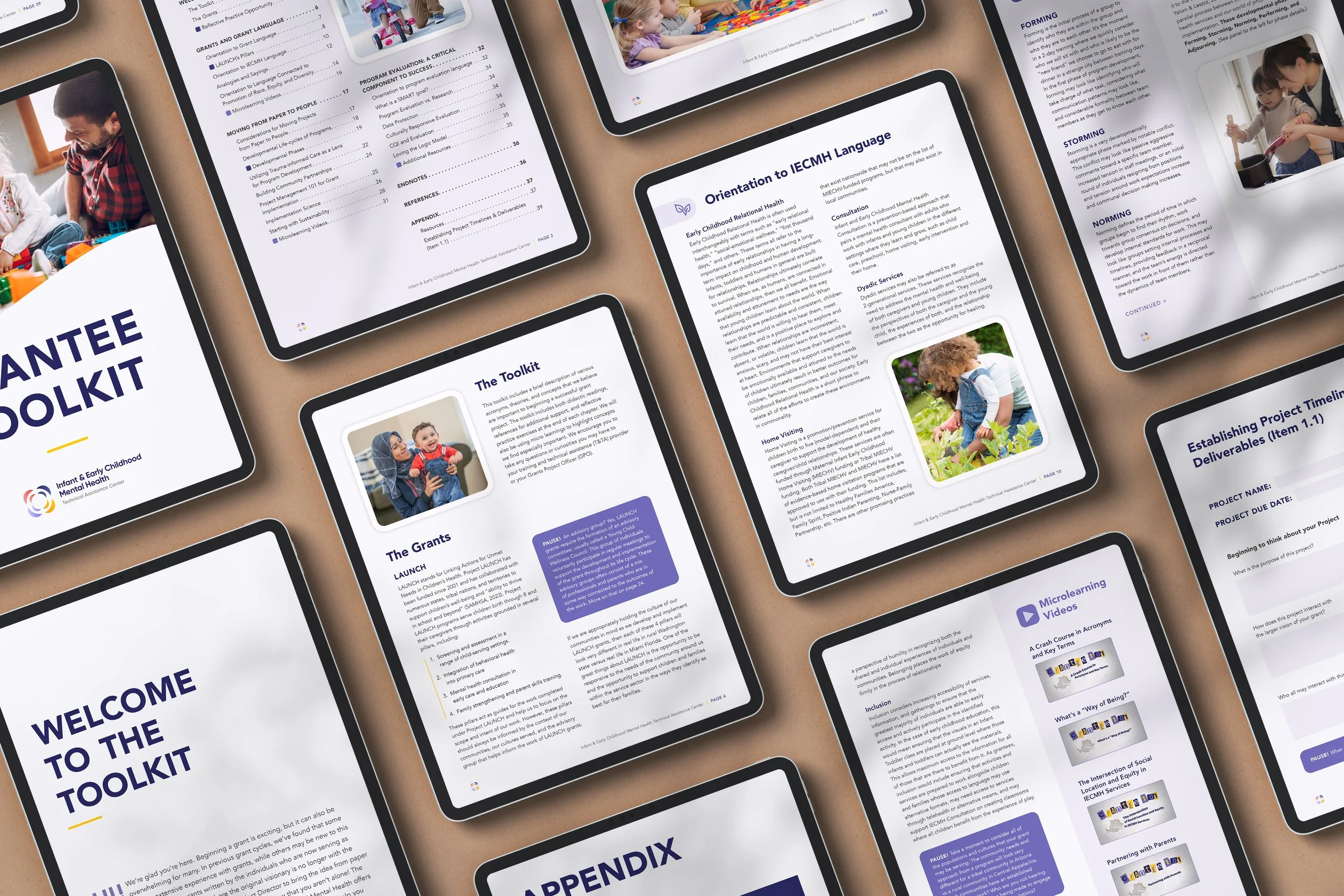 Scene 12_TA Center_Grantee Toolkit-Pages_R1.jpg