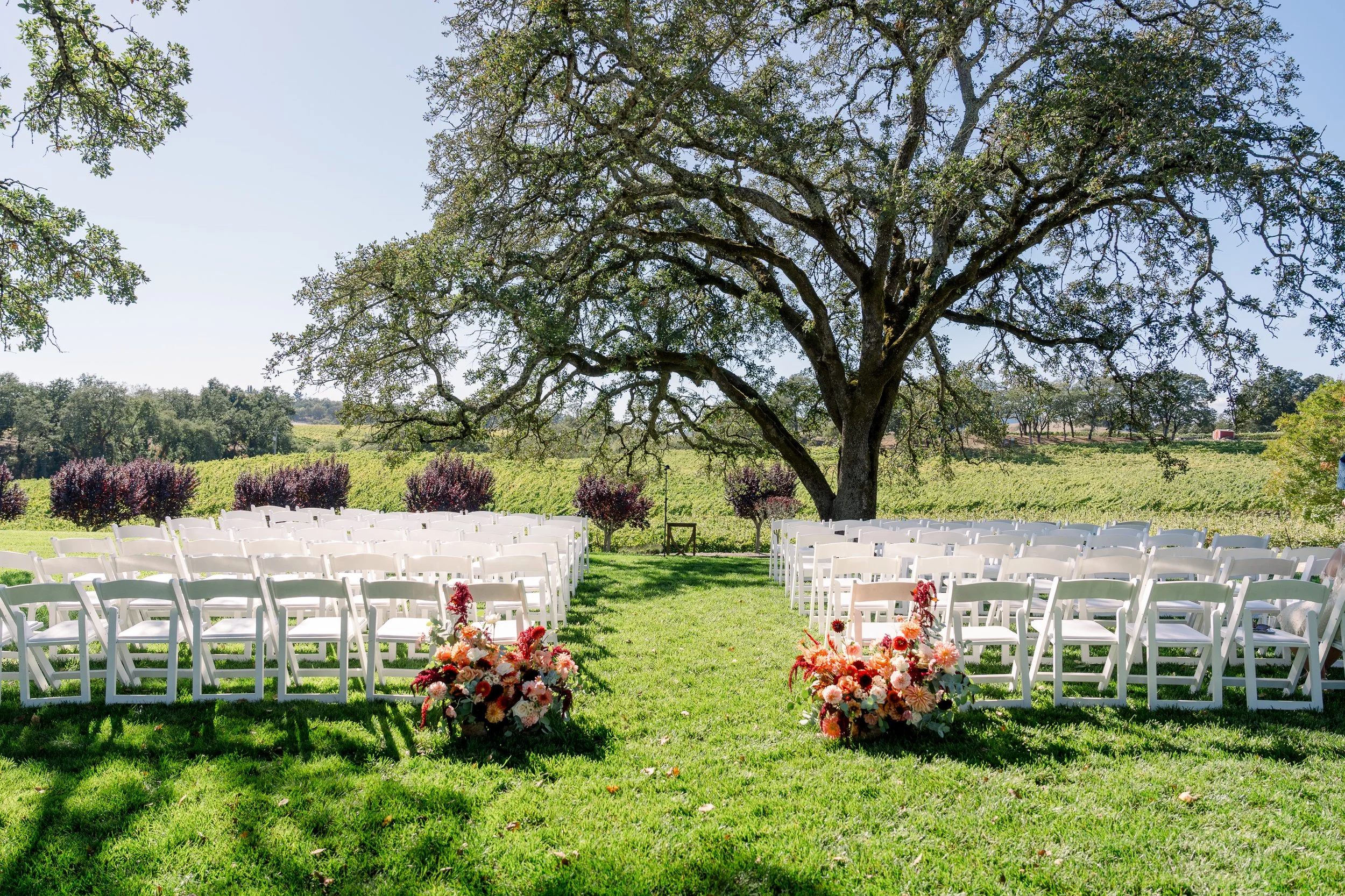 Taylor+Luka_Ceremony-1.jpg