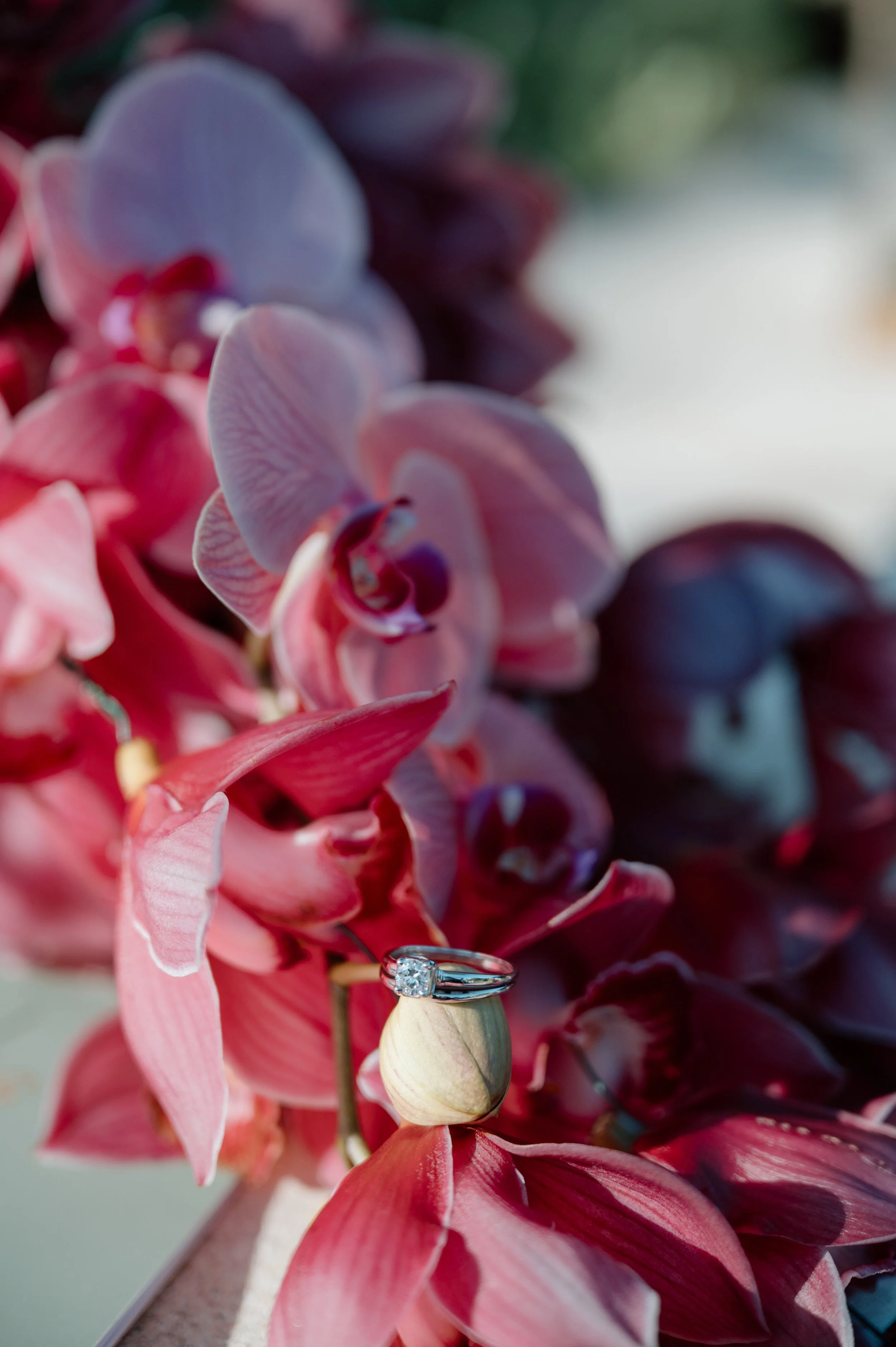 DanielleAngusSayIdo!_SneakPeeks_0071.jpg
