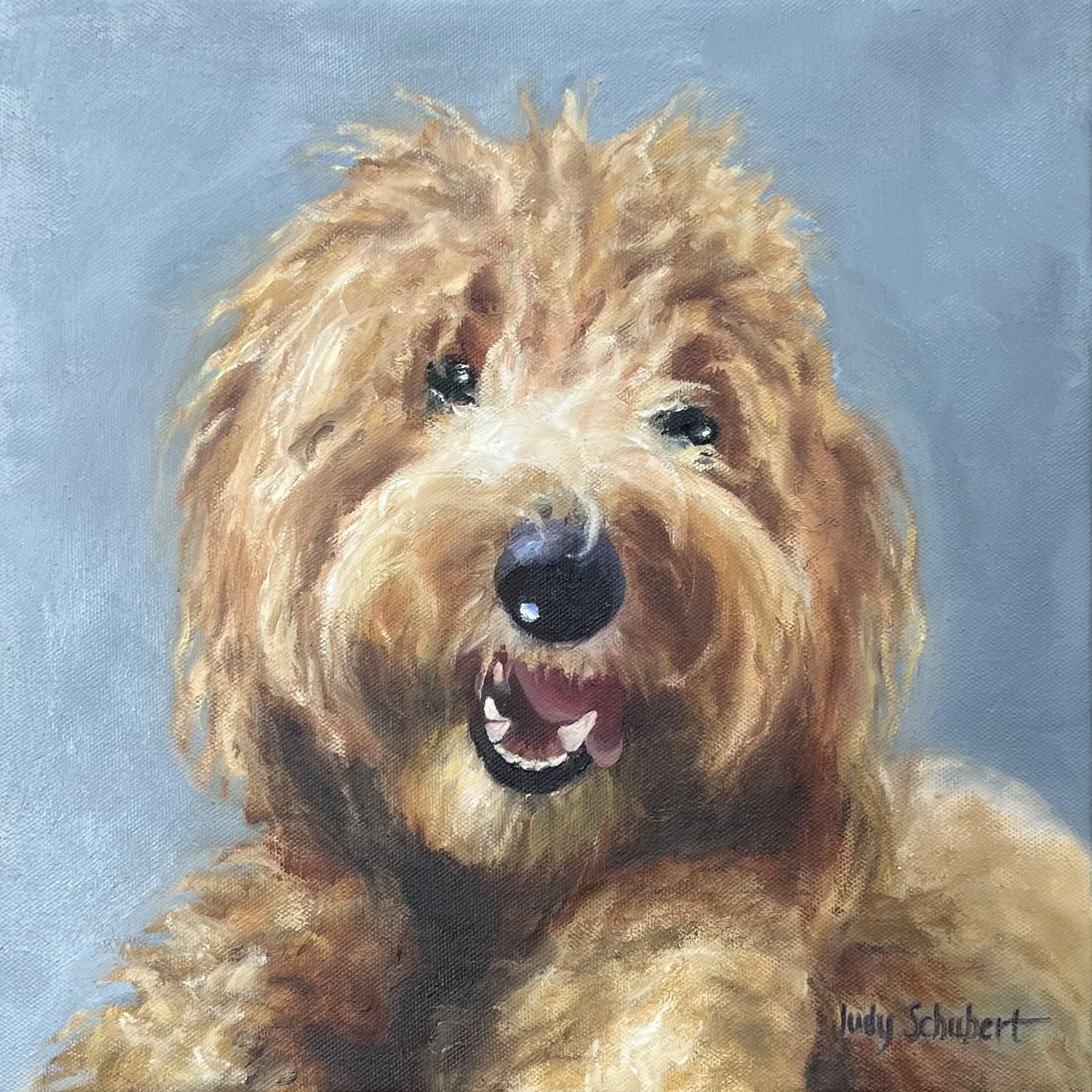 Georgie 12x12 Private Collection