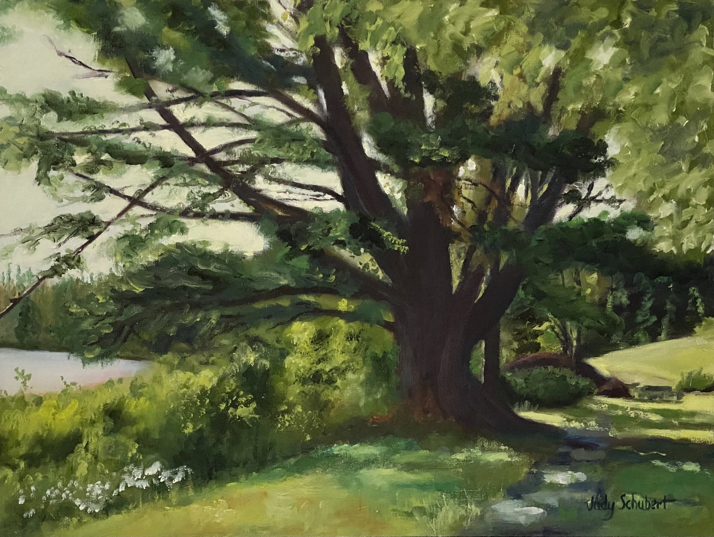 Lone Wolf Pine 12x16 Available