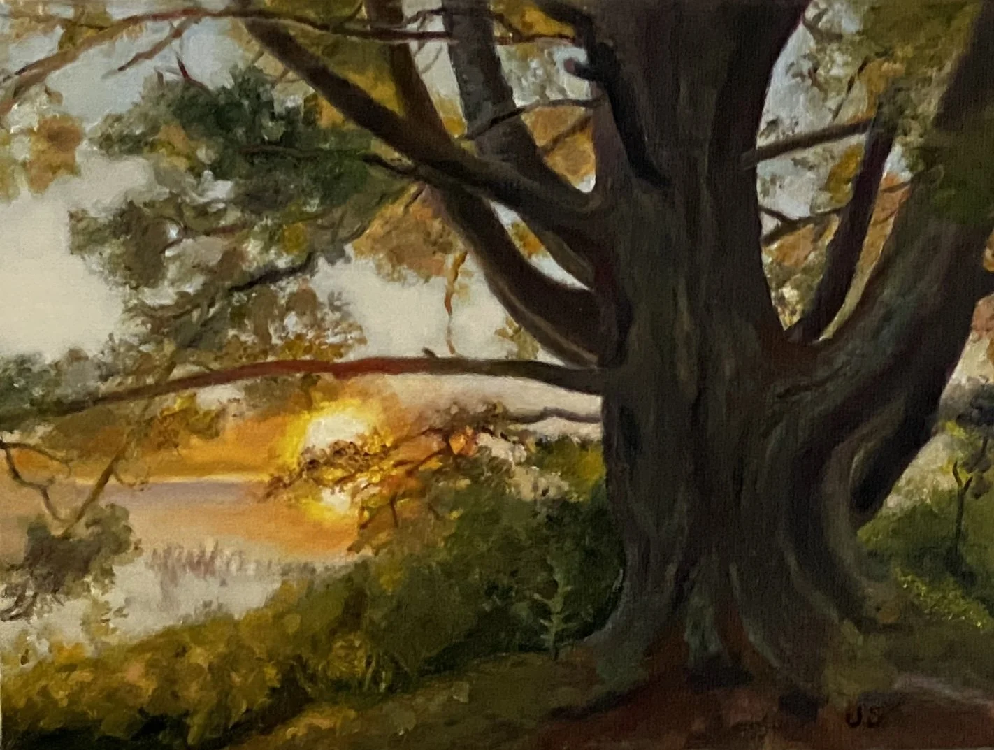 Wolf Pine in Morning Sun 6x8 Sold
