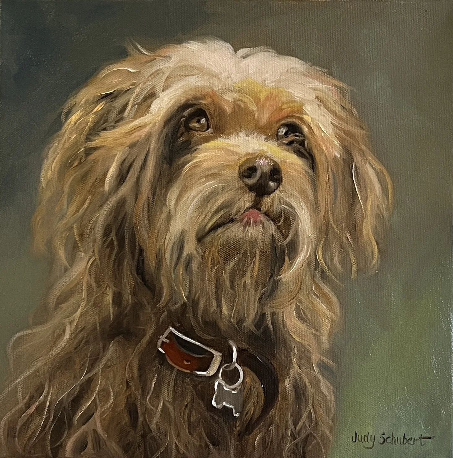 Harry 12x12 Sold