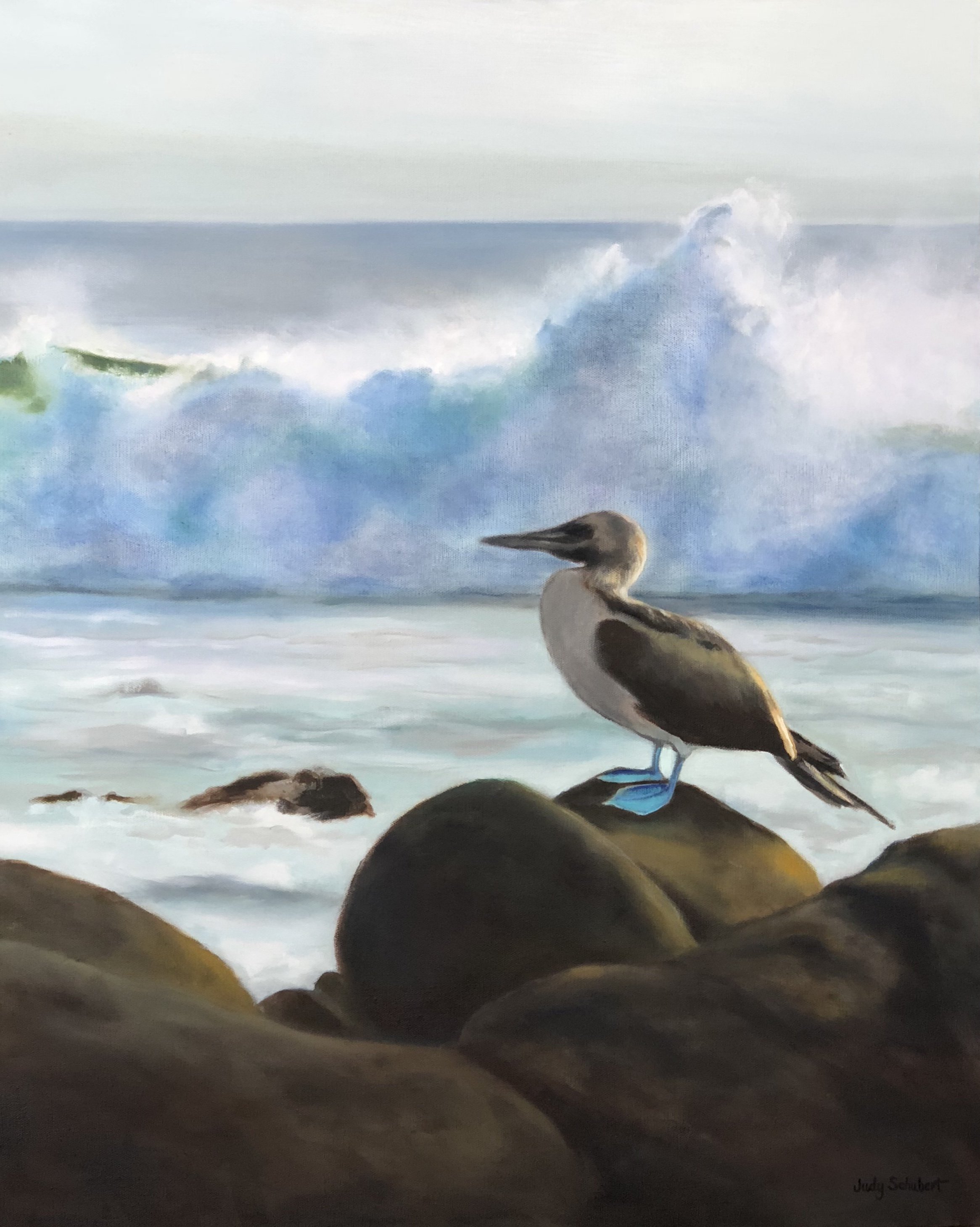 Galapagos Blue-Footed Booby 30x24 Sold