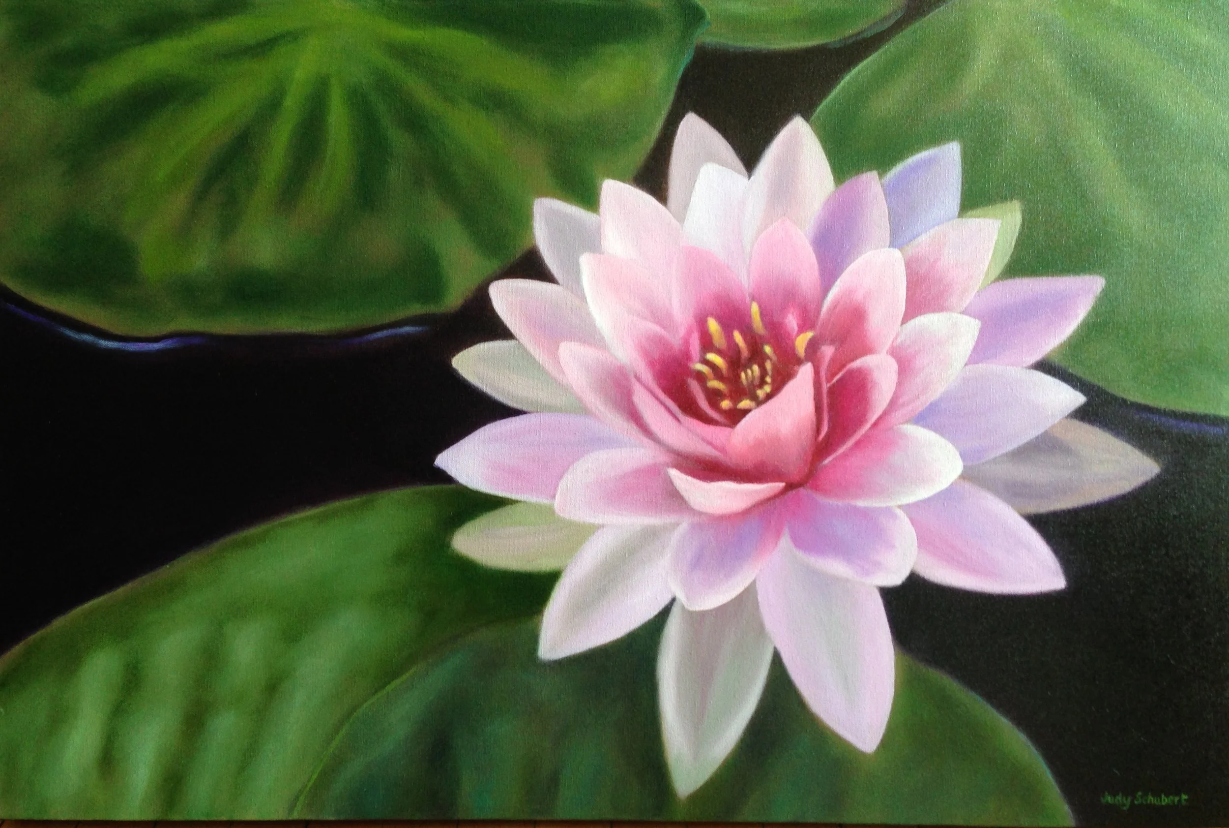 Pink Lotus 24x36 Private Collection