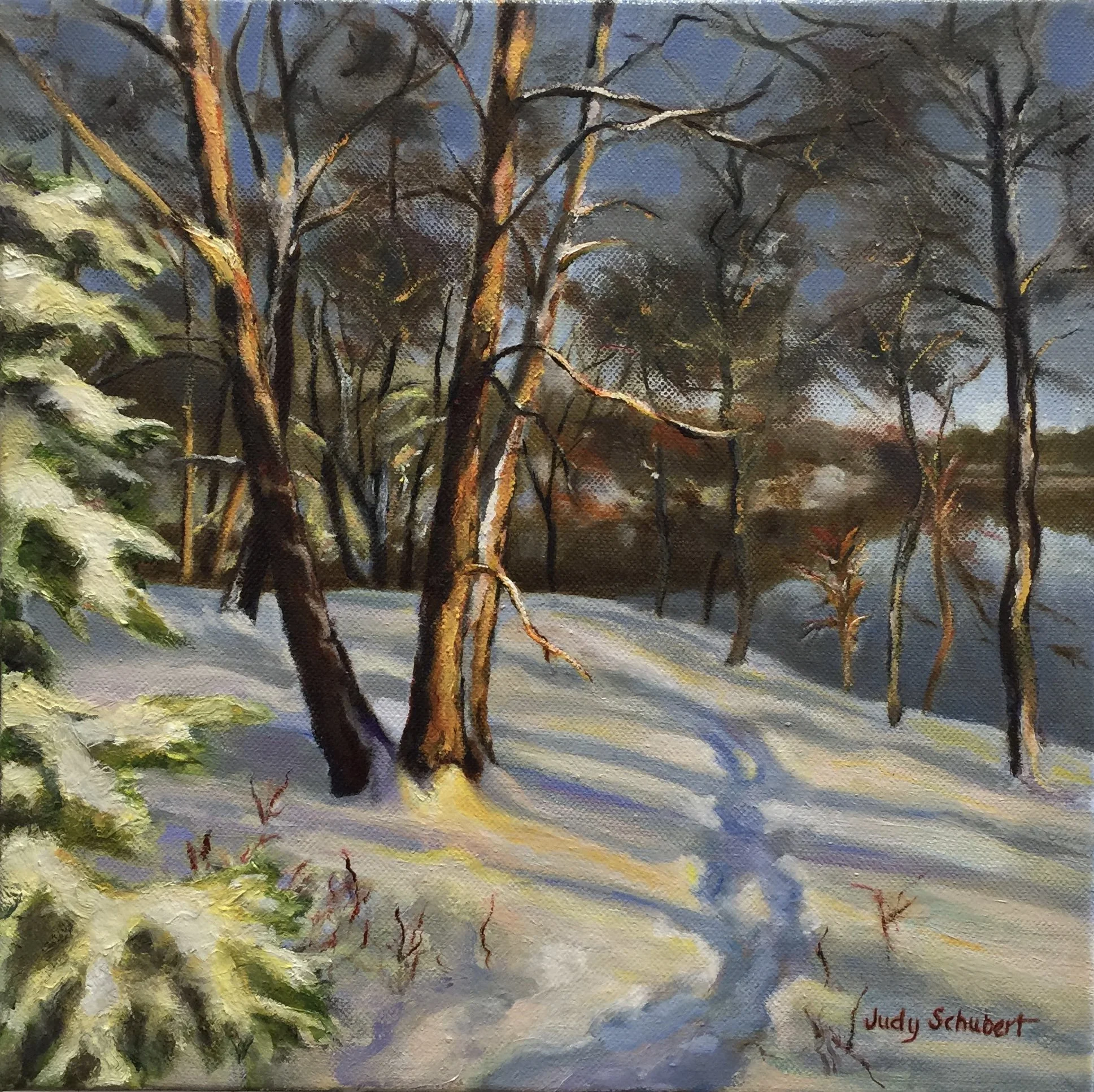 Afternoon Light 12x12 $650