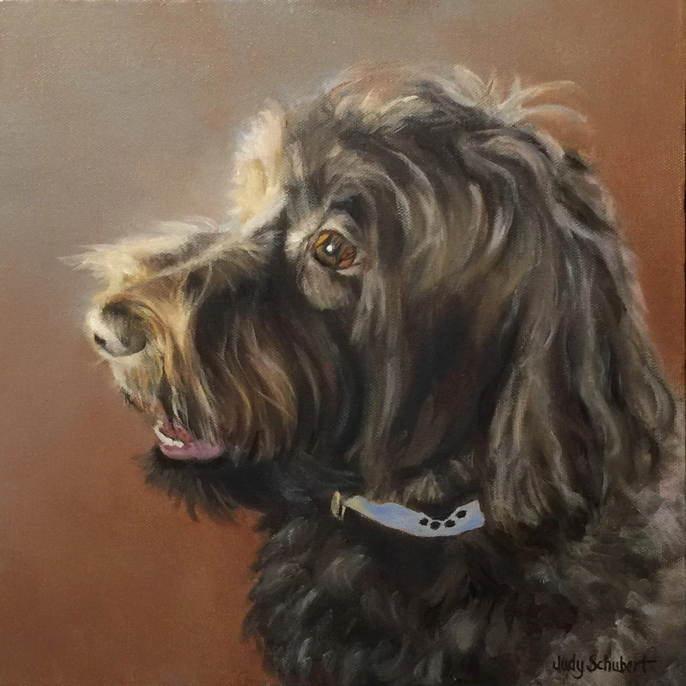 Sammy 12x12 Private Collection