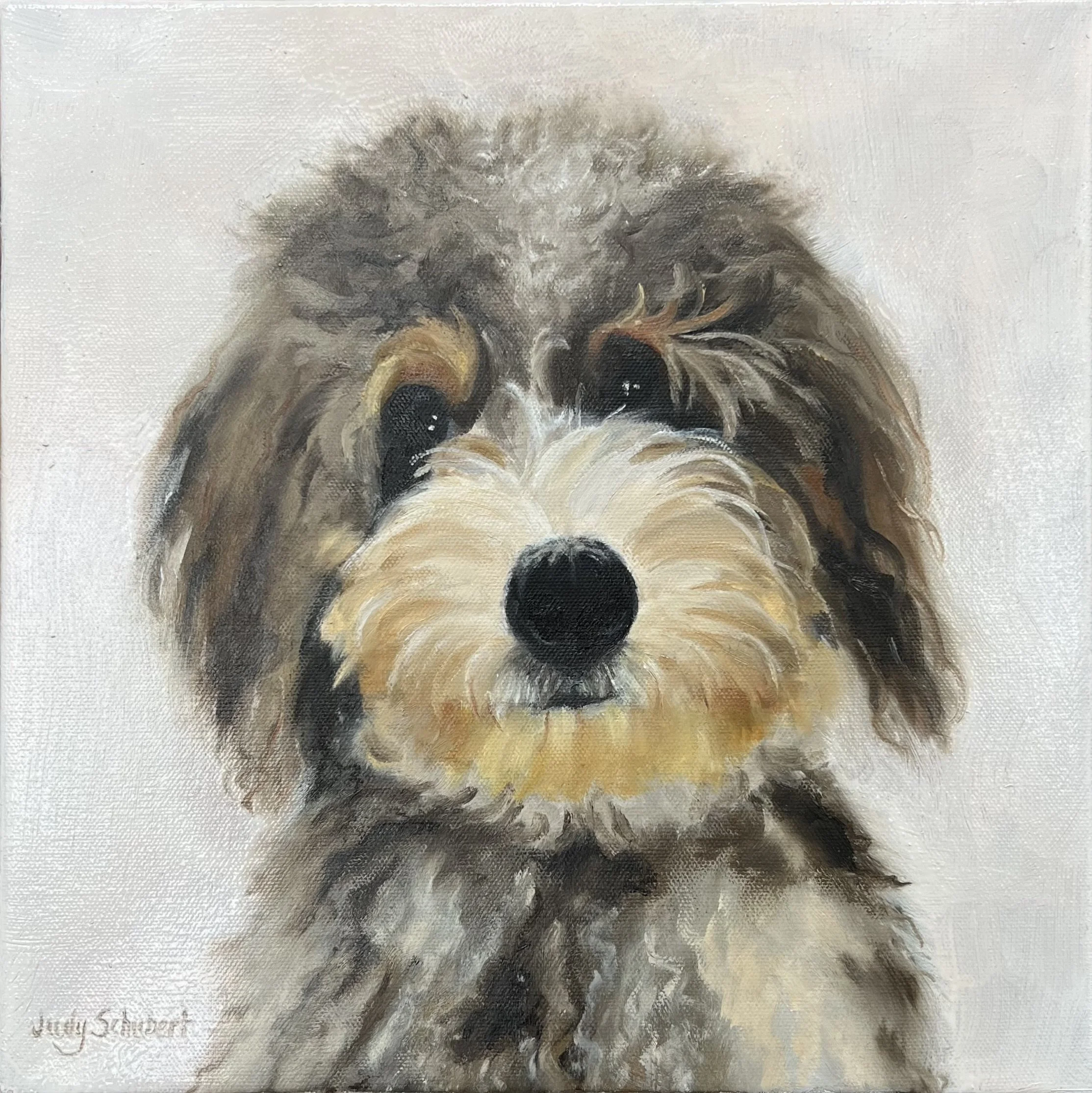 Archie 12x12 Private Collection
