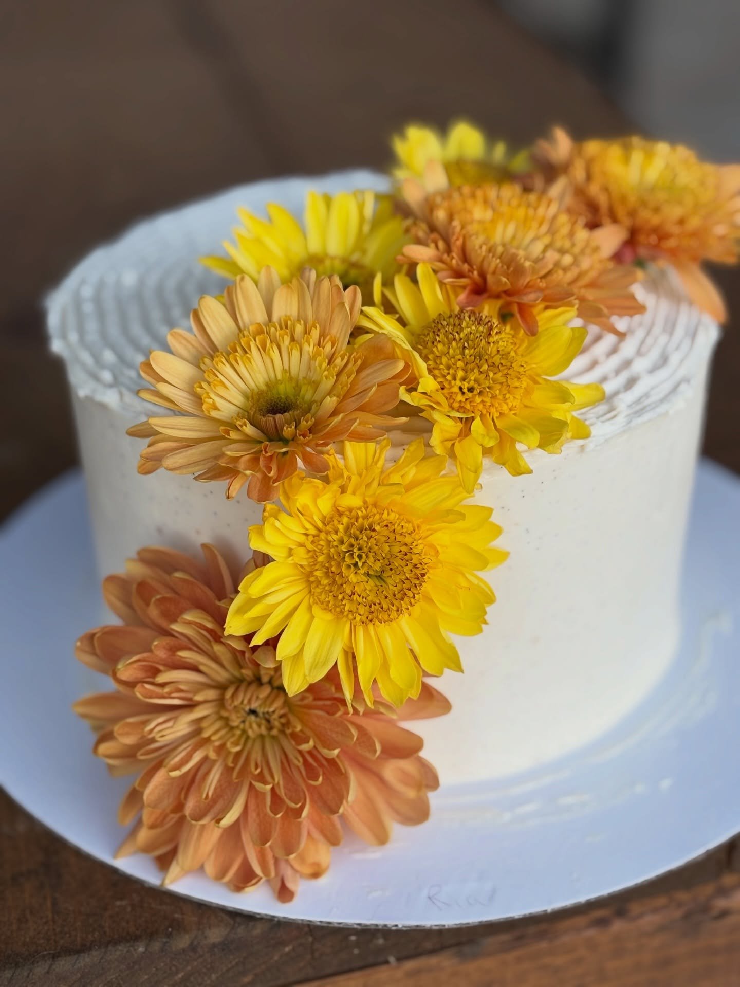 Little nibbles of sunshine