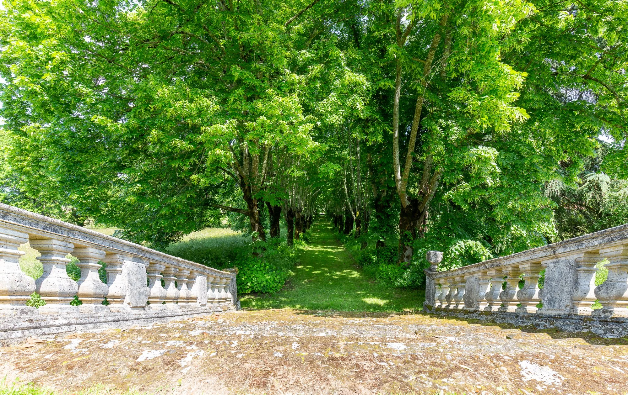 Sarah-34.jpg
