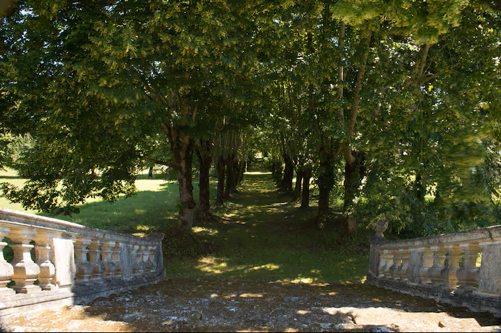 stairs to lined avenue.png