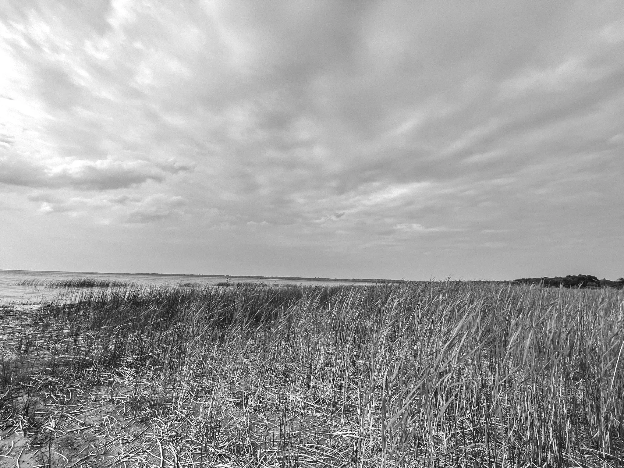 Field Notes: Entry One