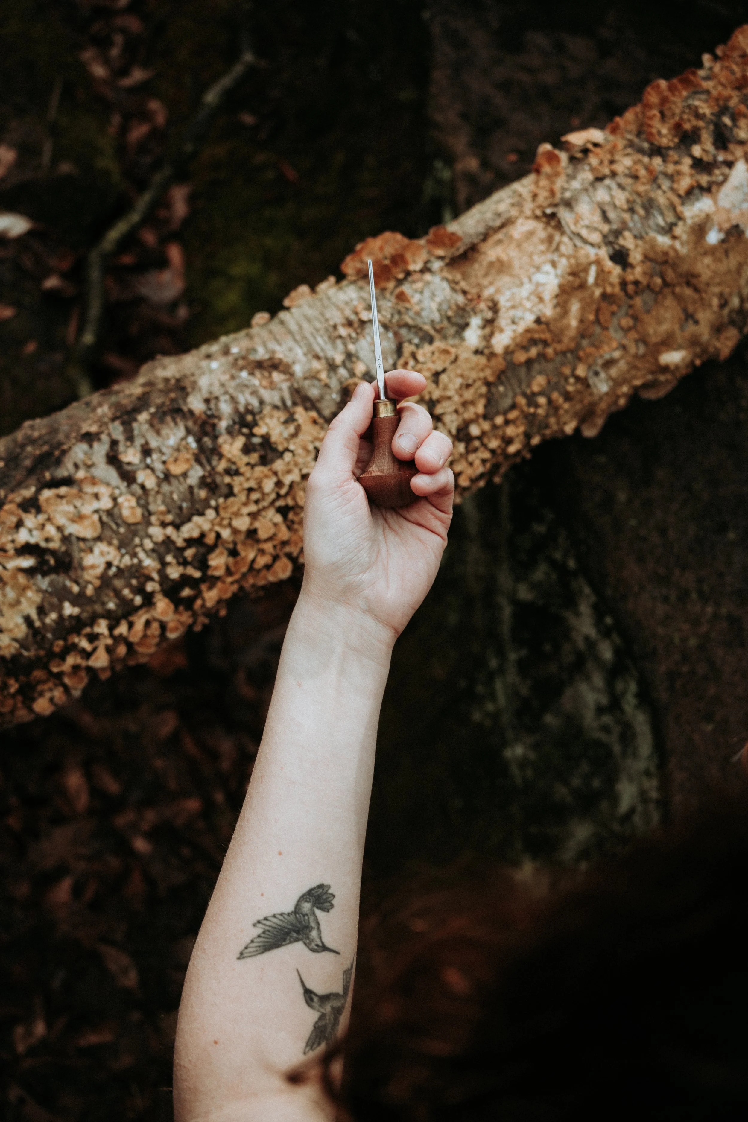 Human Rooting