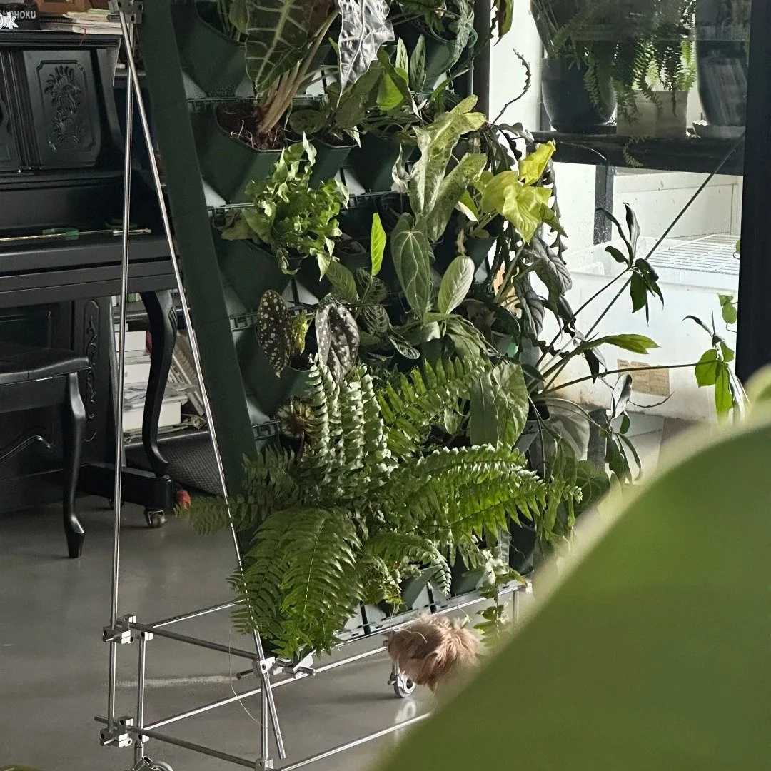 Let your plants take the stage. 🌱
#diyfurniture #furnituredesıgn #homediy #homediy #storagesolutions #interiørdesign #metalfurniture
#plantwall