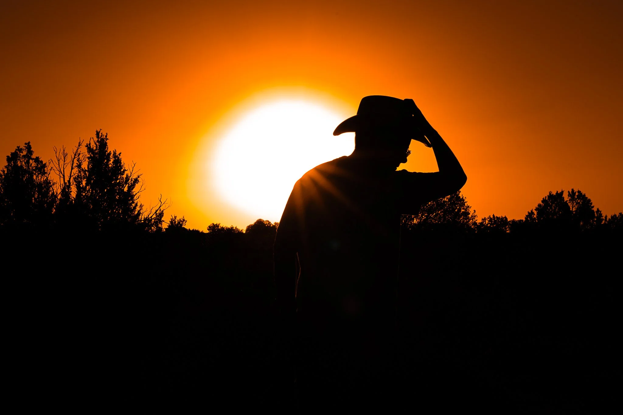 Desert AirBnB, One Night, One Silhouette