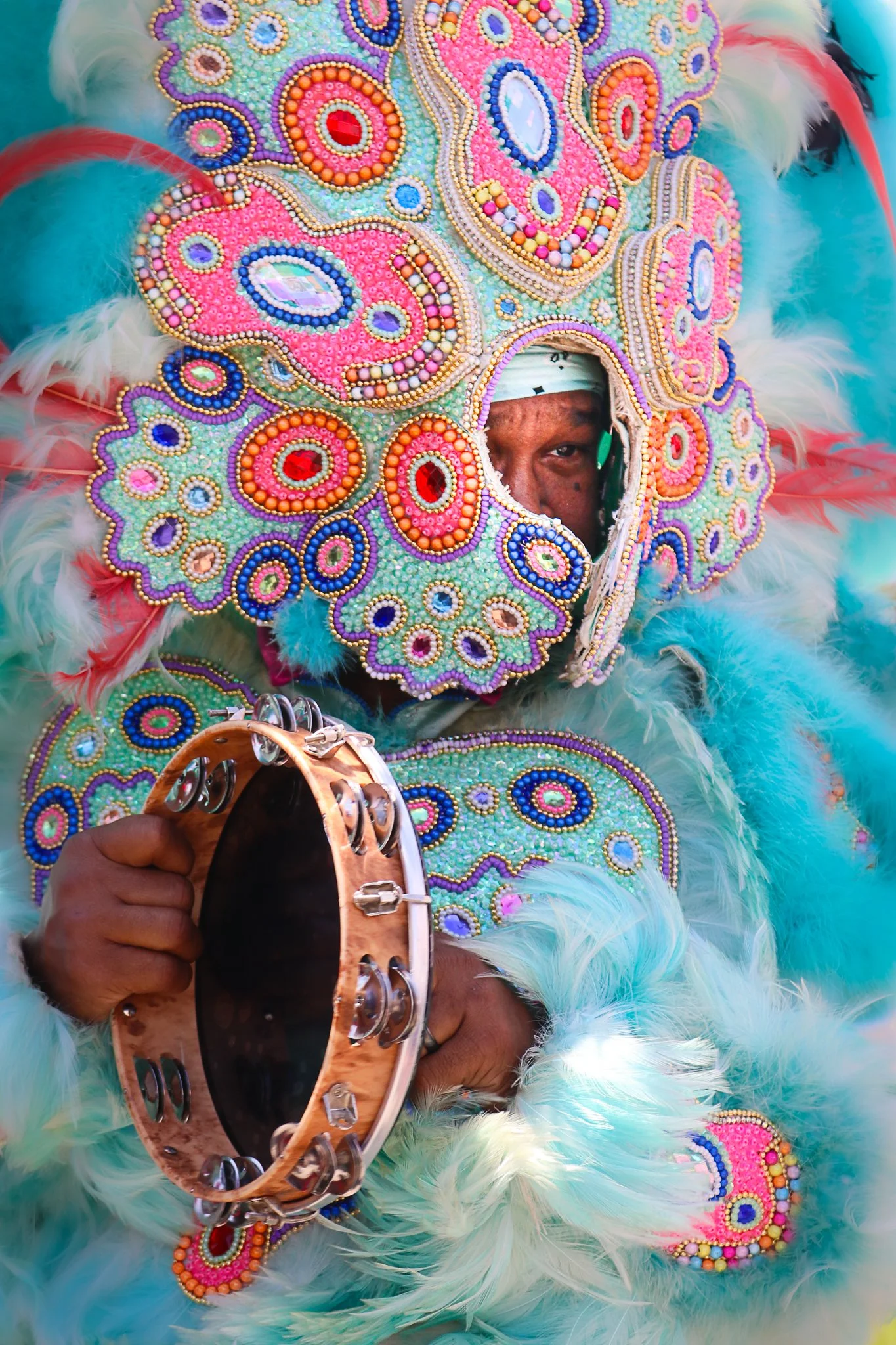 Mardi Gras Blue Small.jpg