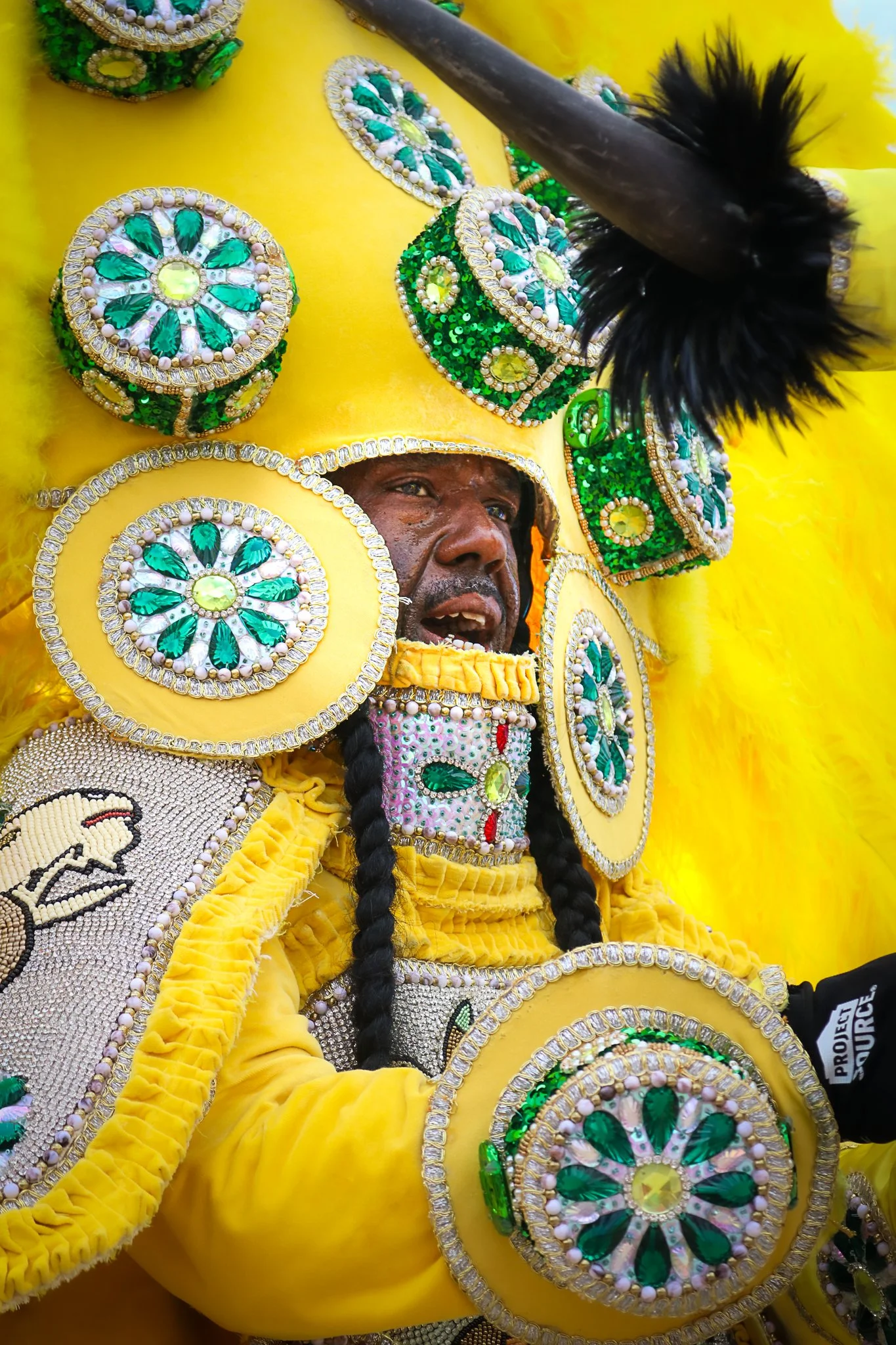 Yellow Indian small 3.jpg
