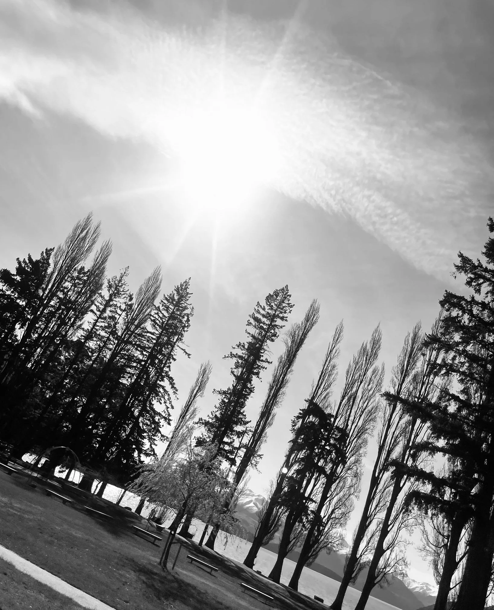 IMG_2656 (1).jpg