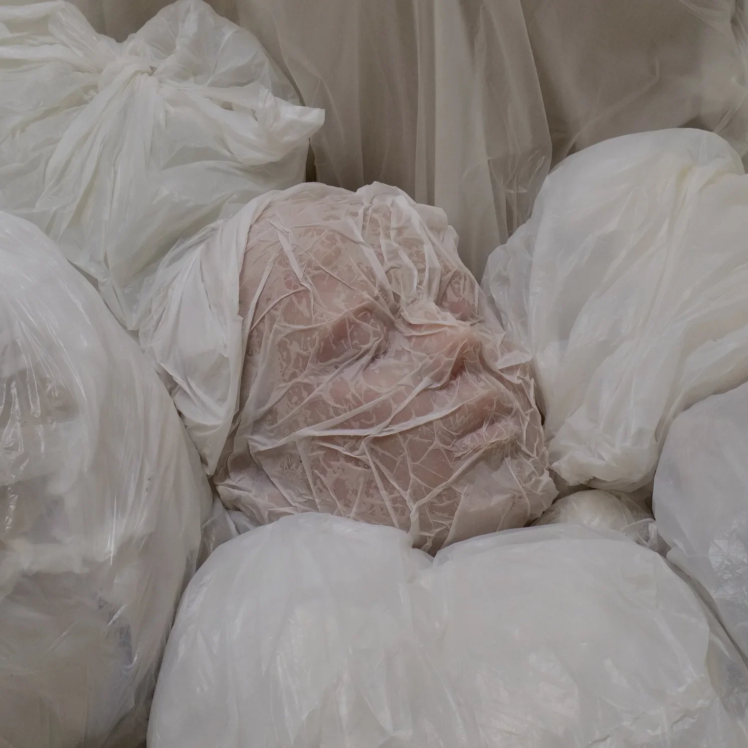 Dust+Sheets.webp