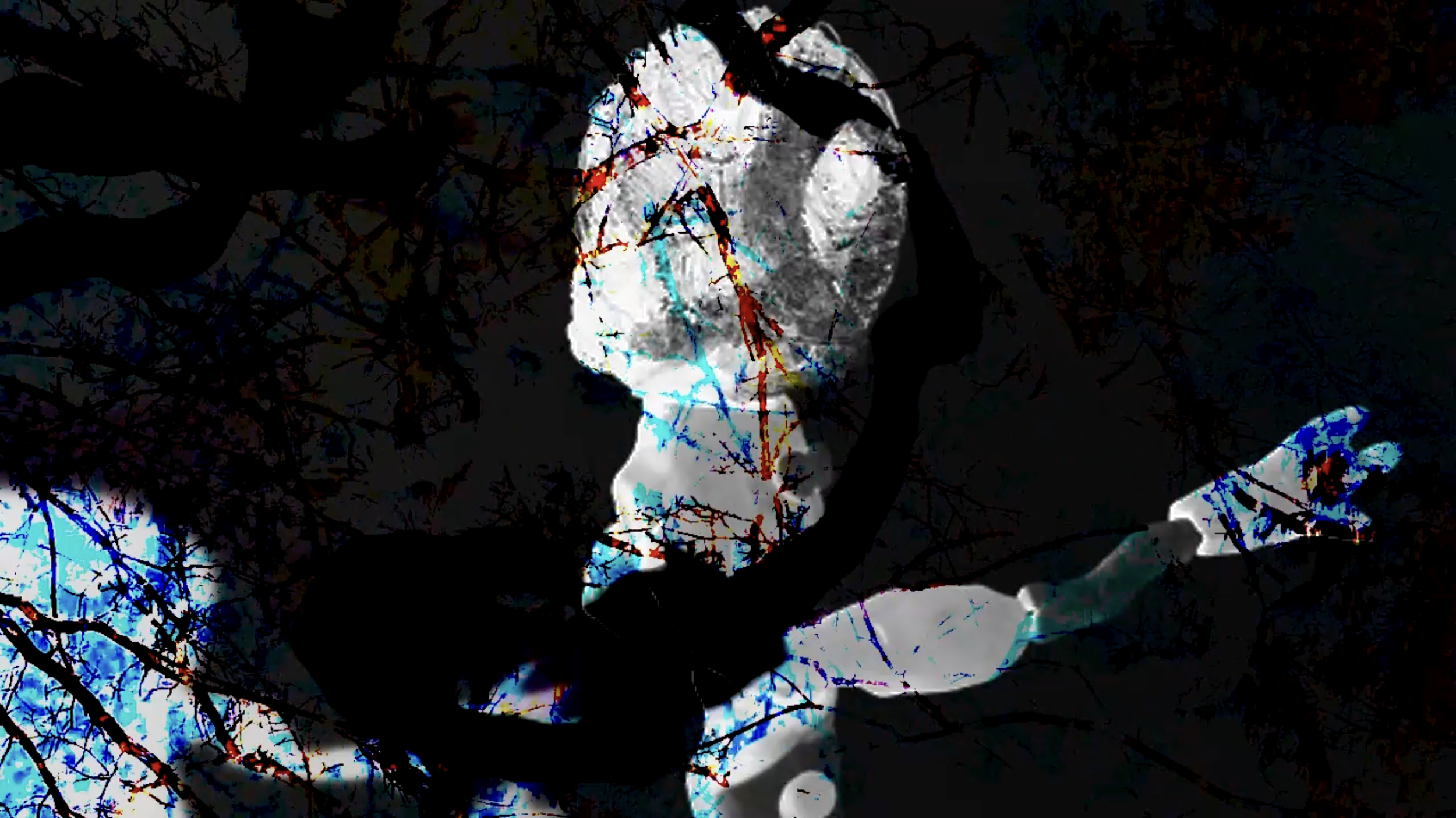 'Forest Shadow'
Clay and video
Vincent De Giulio, 2021