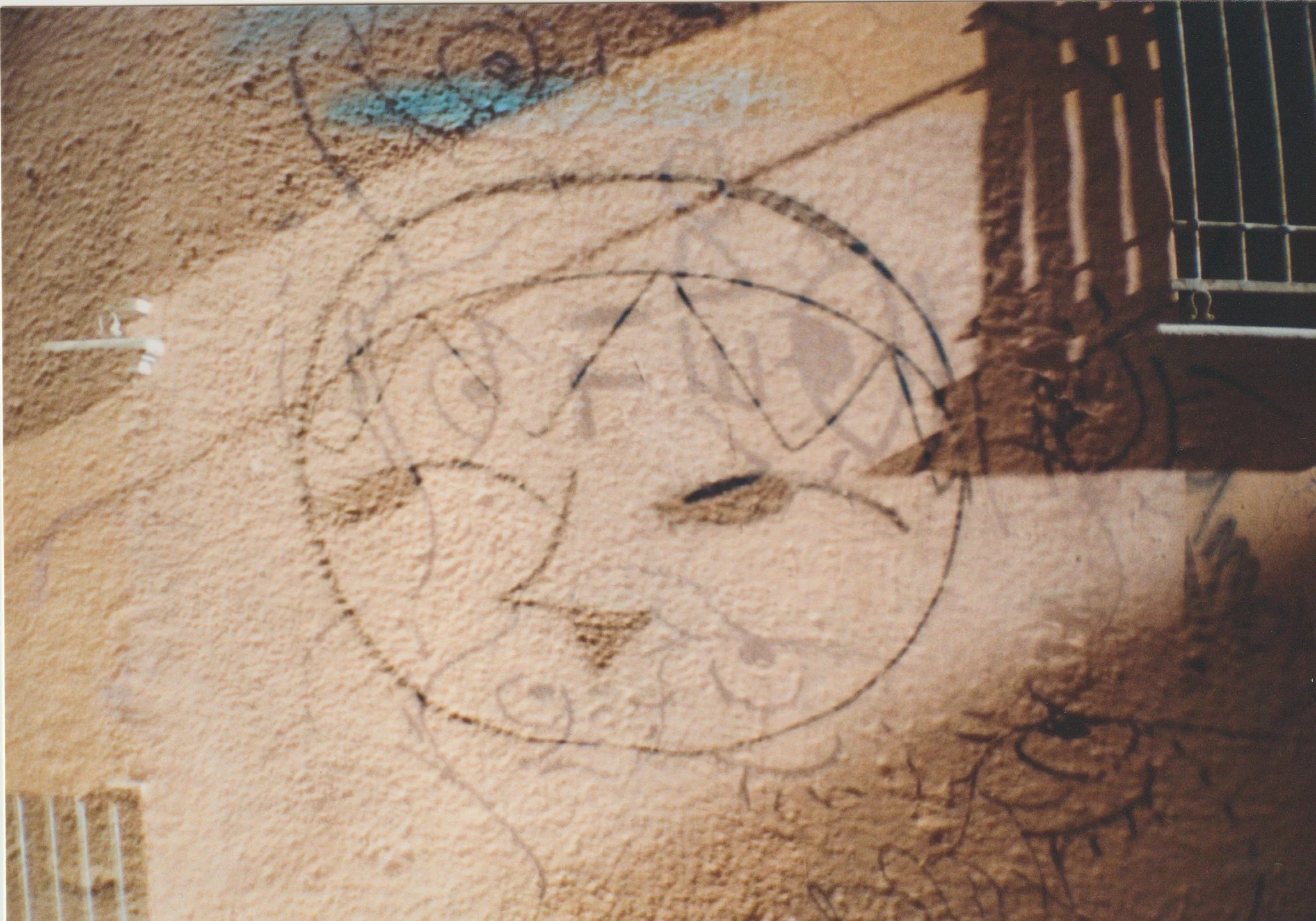 Bologna, Italy Graffiti 
35mm film
2025