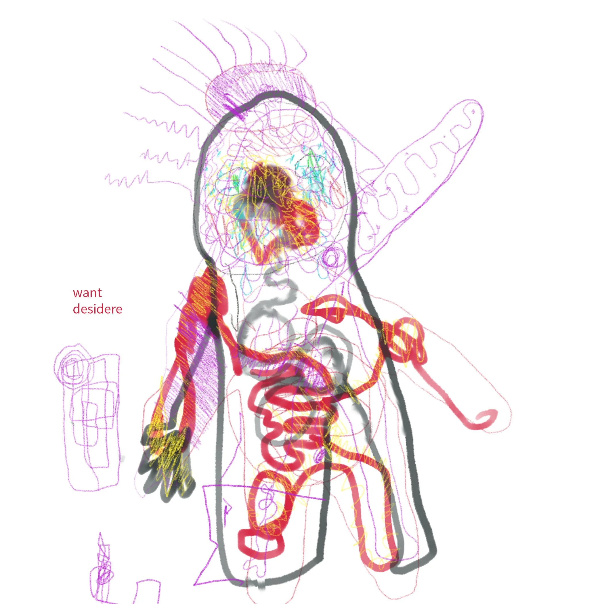 want desidere (nervous system)
tablet drawing
2023