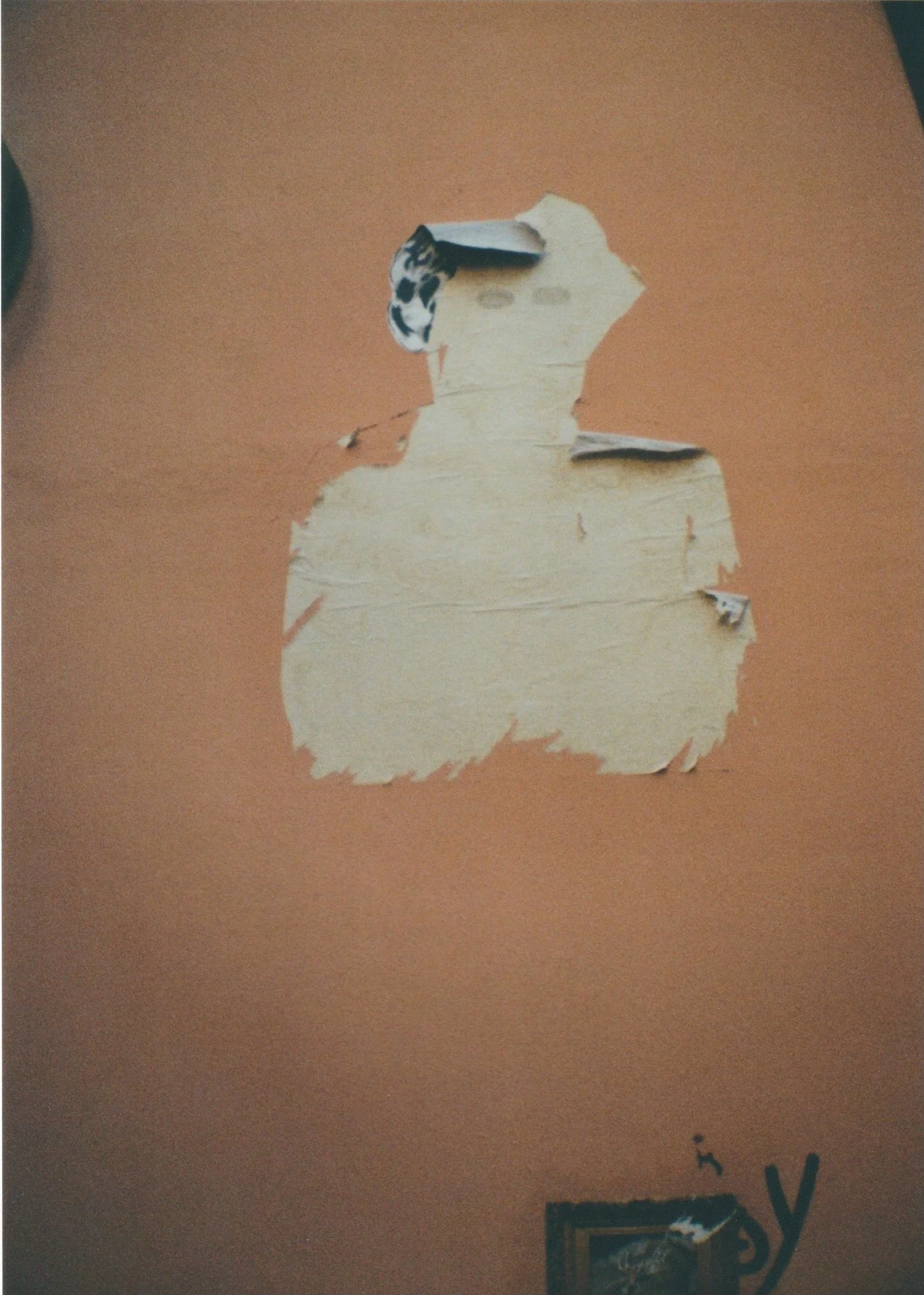 Bologna, Italy - Graffiti II. 
35mm film
2025