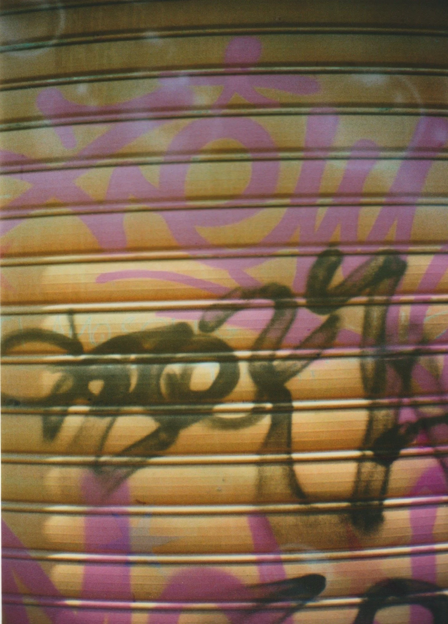 Parco della Montagnola Shed Door
Bologna, Italy
35mm film
2025